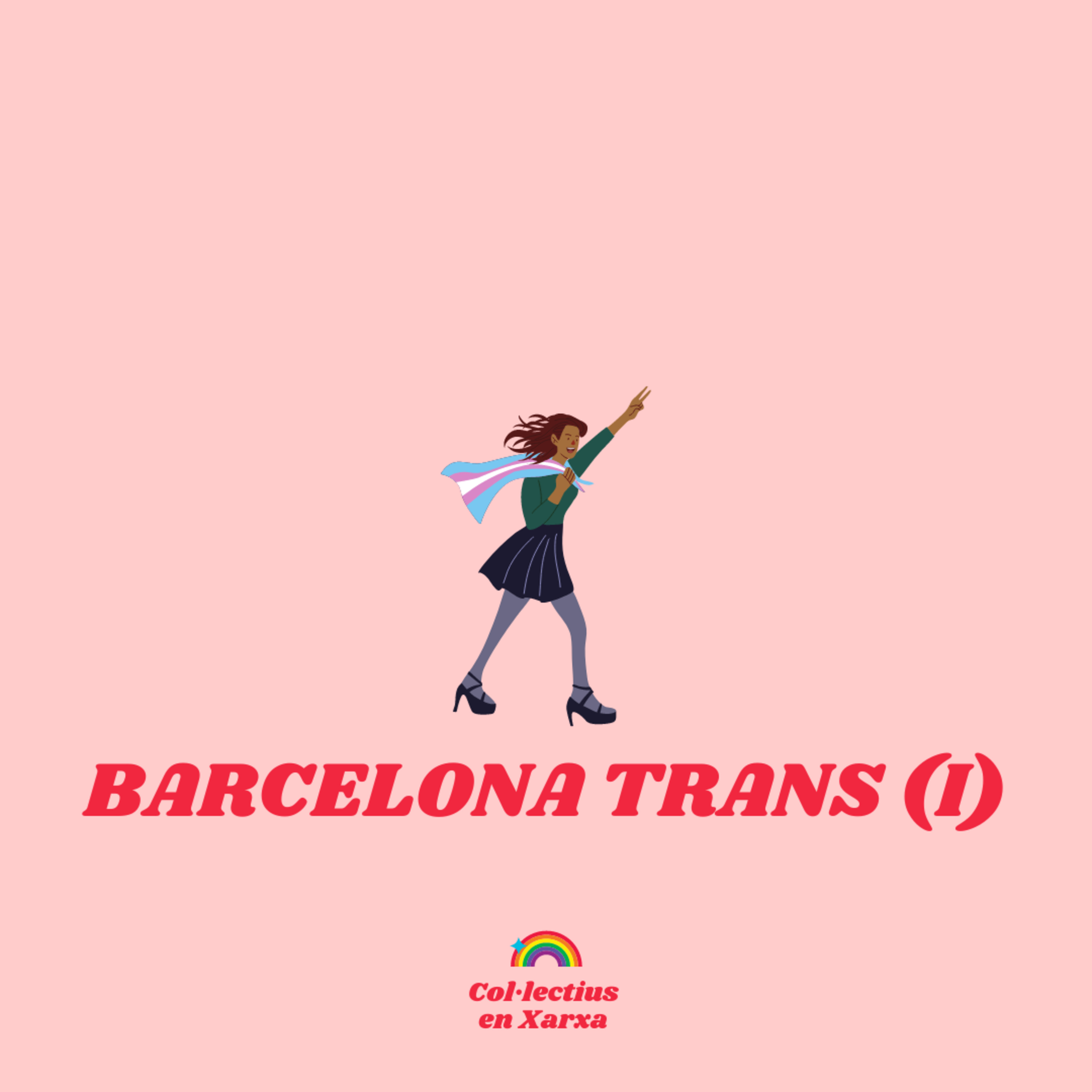 Col·lectius en Xarxa