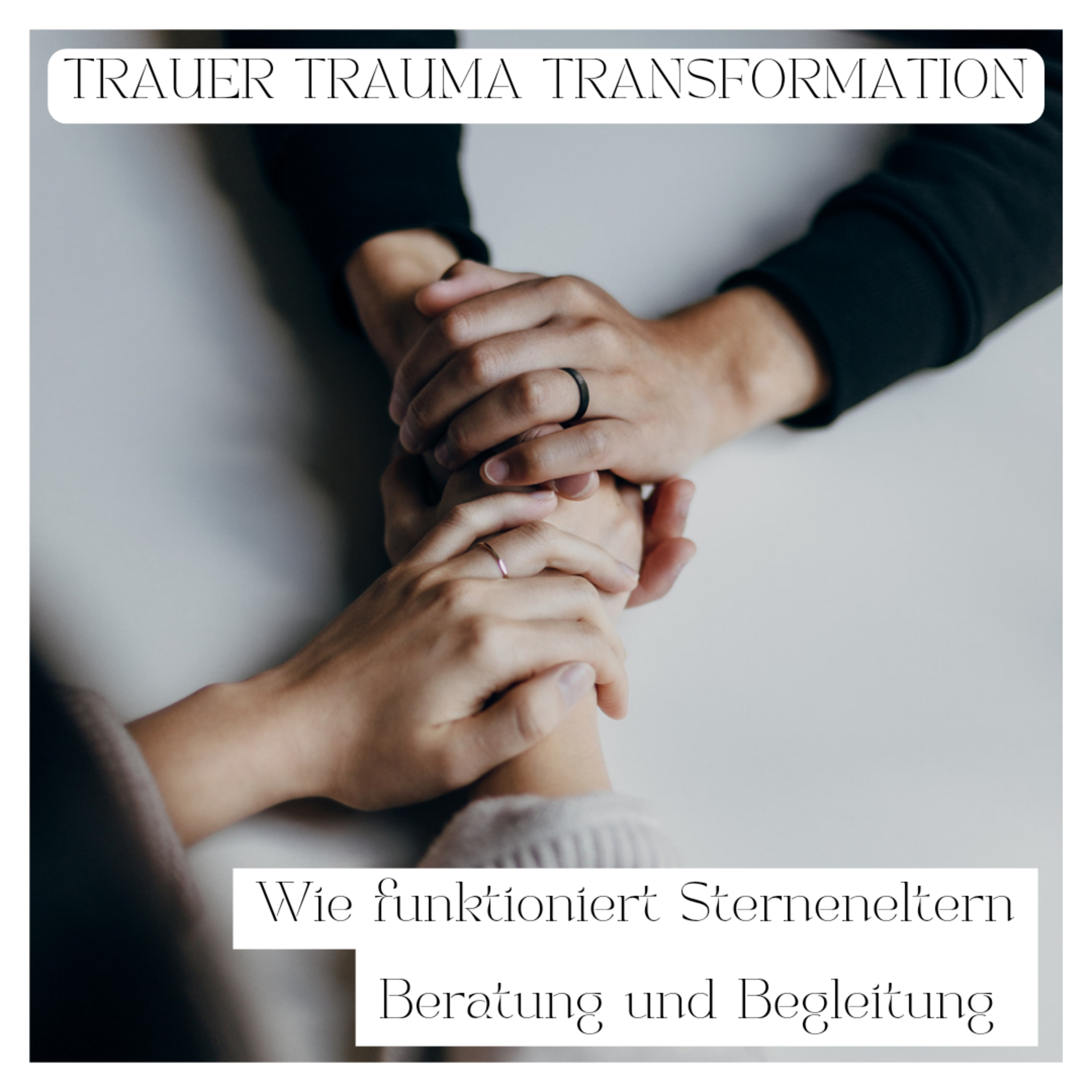 Liebe Sternenmama. Der Wegweiser für Sternenkind-Mamas.