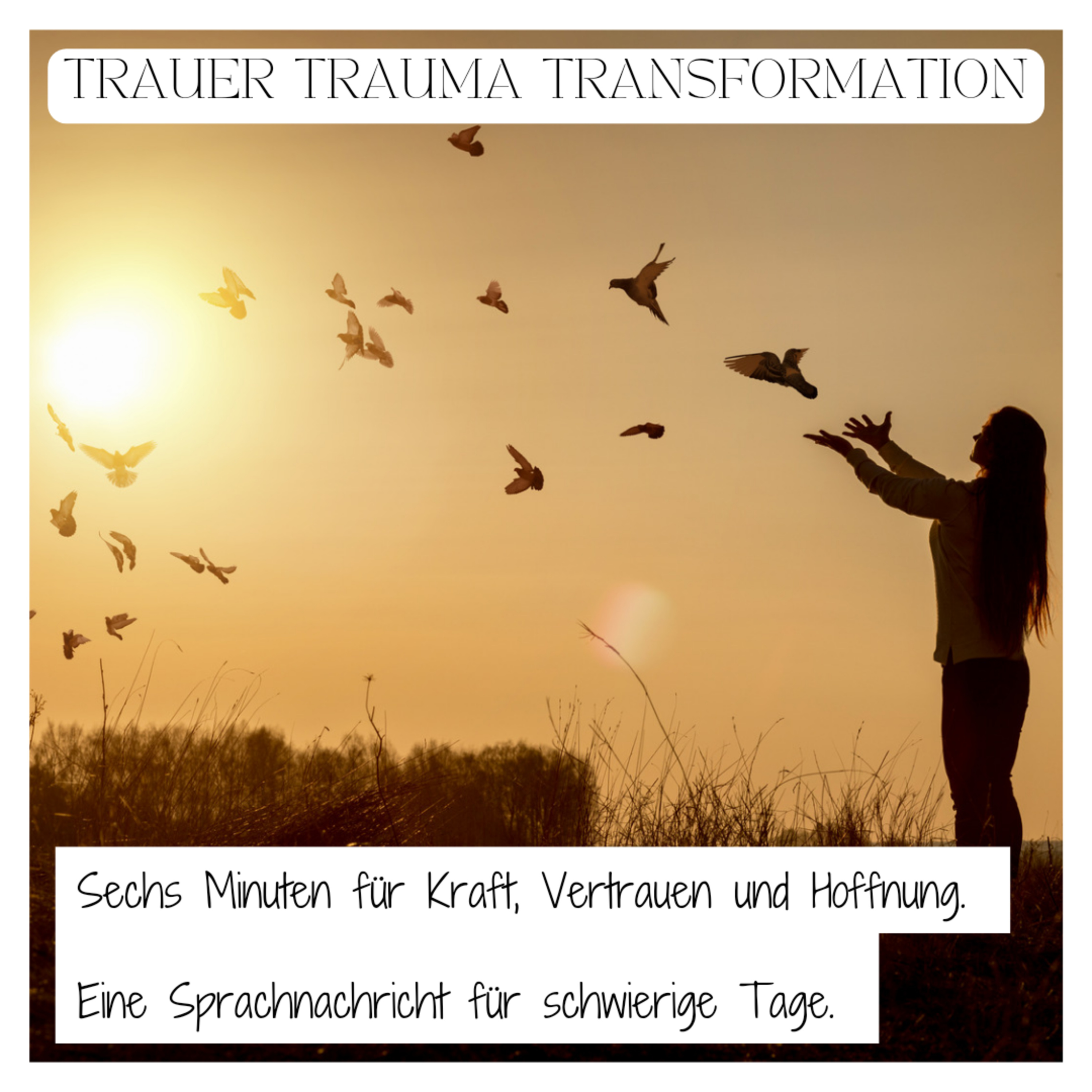 Liebe Sternenmama. Der Wegweiser für Sternenkind-Mamas.