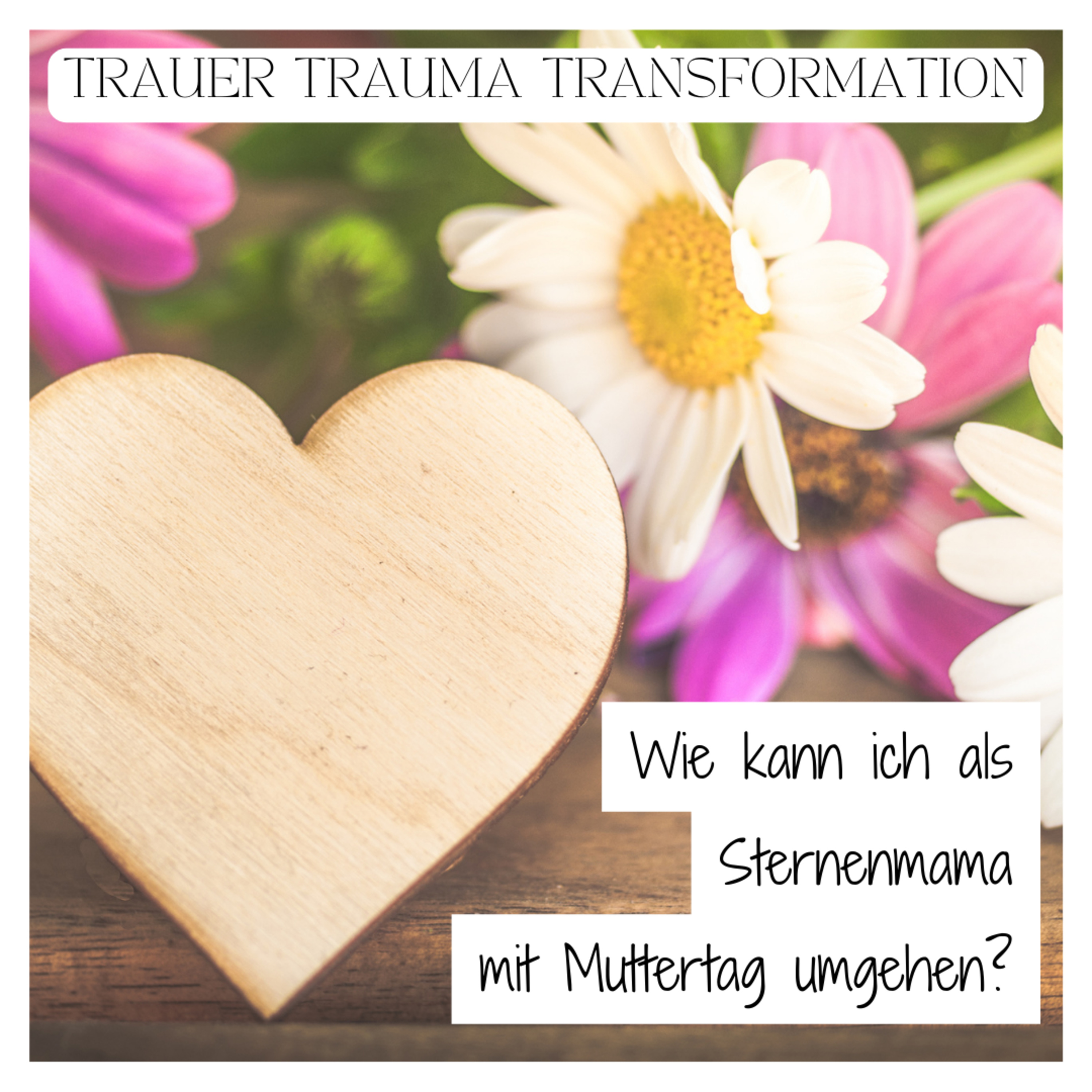Liebe Sternenmama. Der Wegweiser für Sternenkind-Mamas.