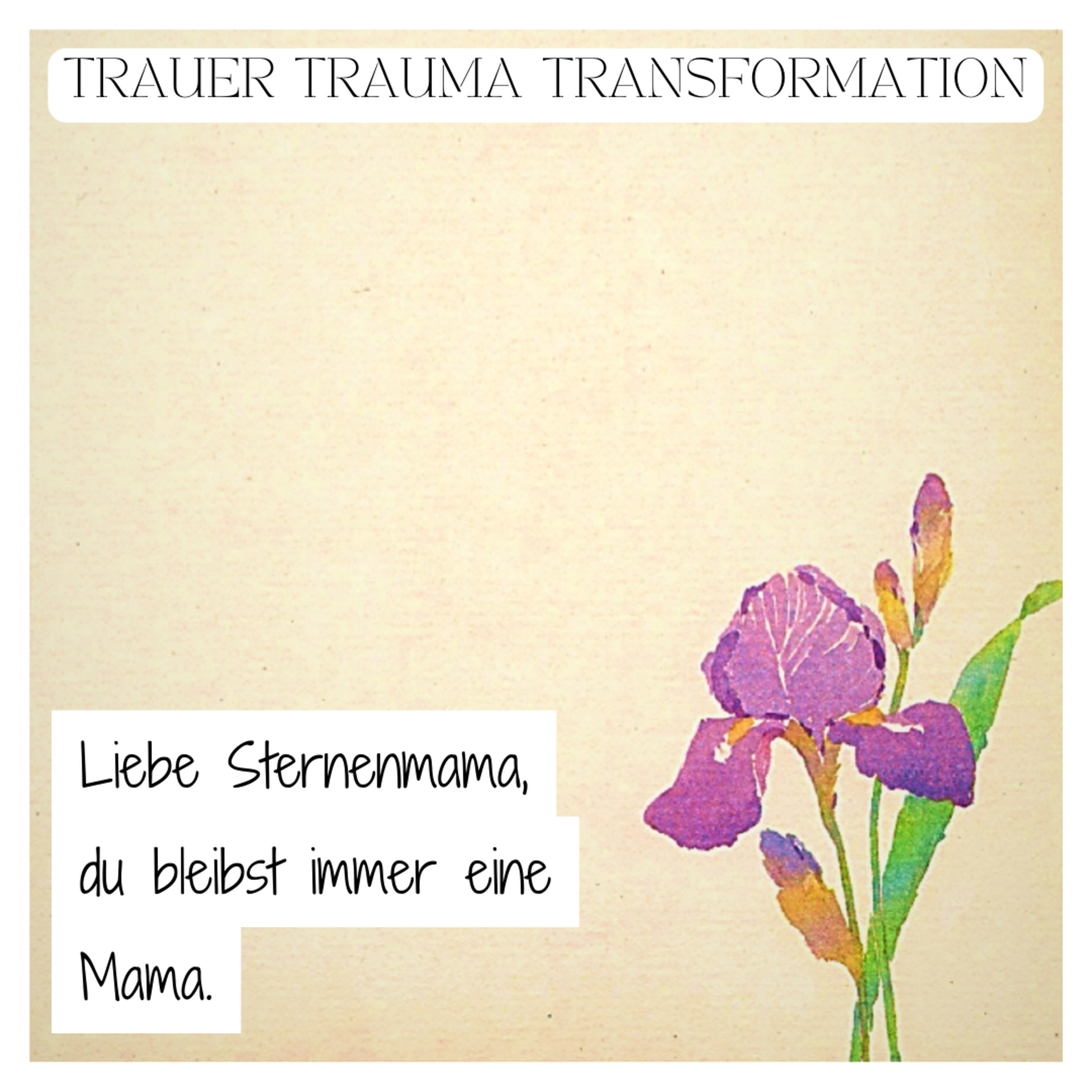 Liebe Sternenmama. Der Wegweiser für Sternenkind-Mamas.