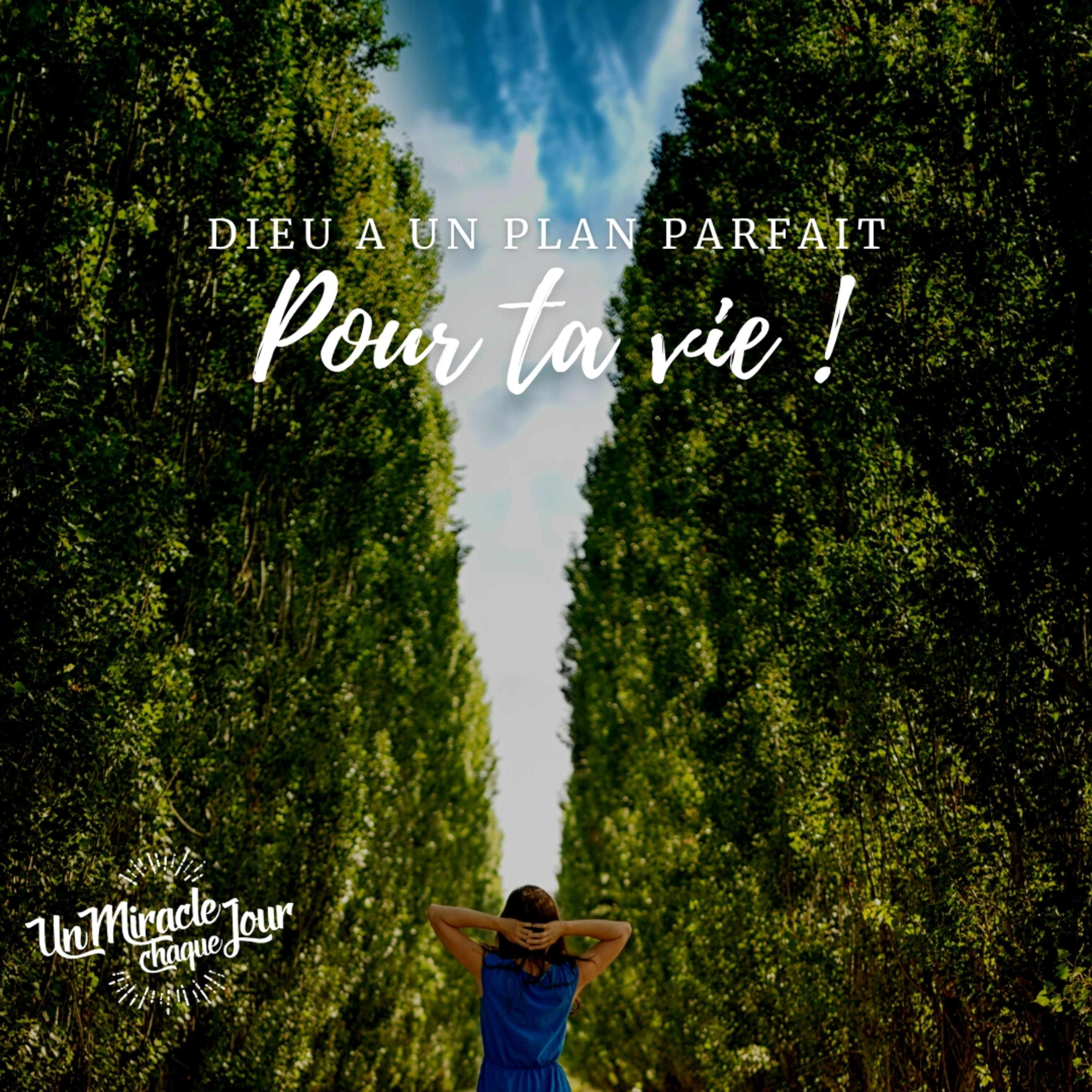 🤔 C’est quoi le plan de Dieu pour ta vie ? episode artwork