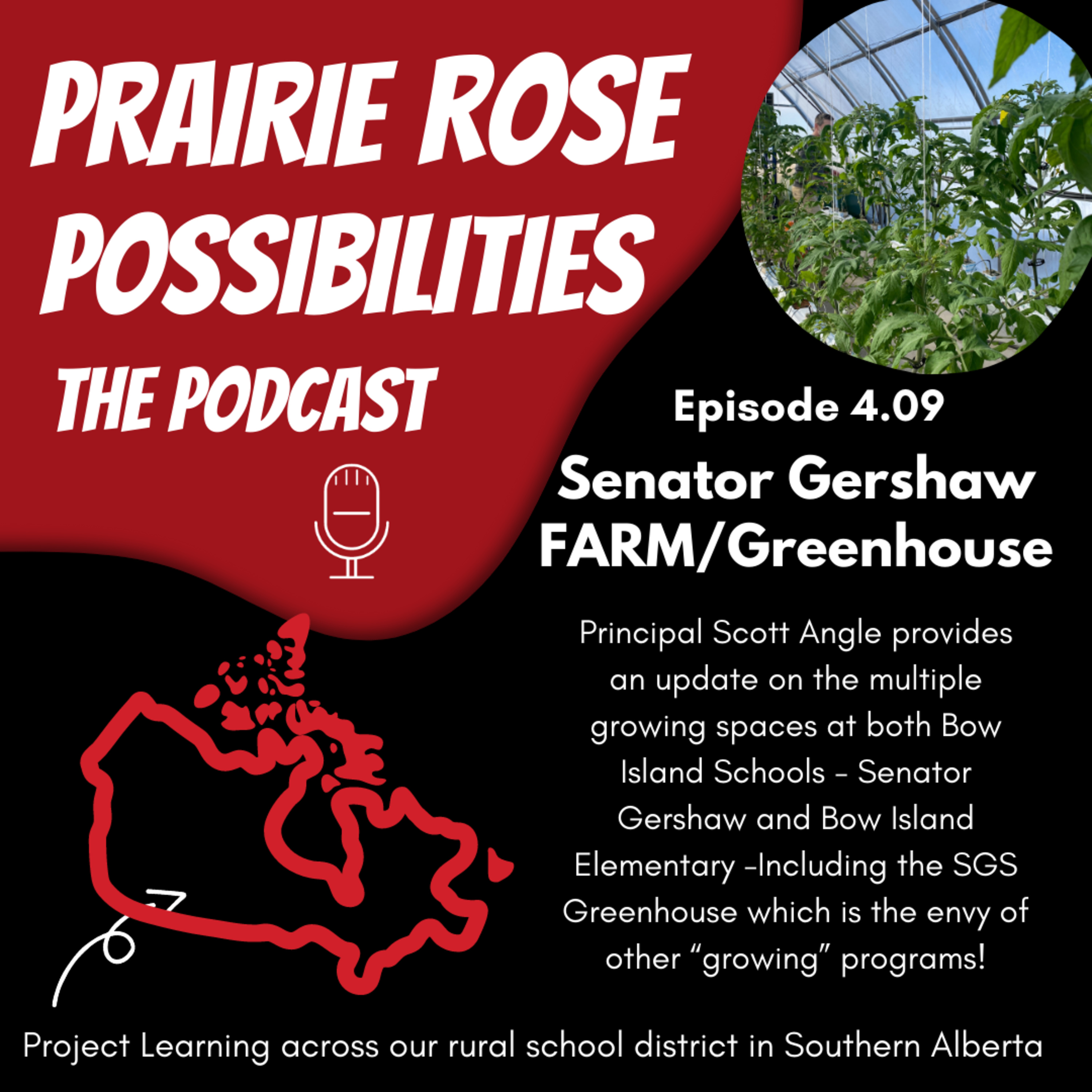 Prairie Rose Possibilities - The Podcast