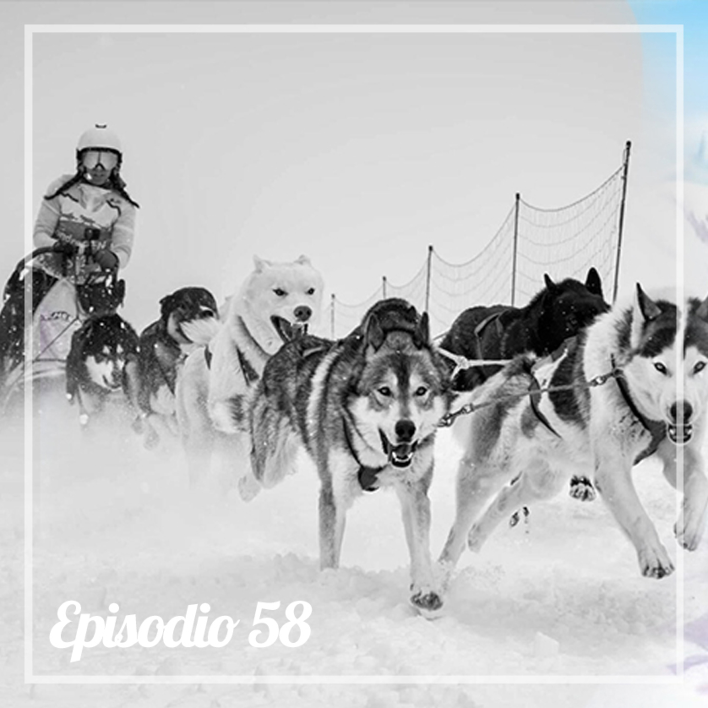 Storia del vero Balto per l’intervista alla campionessa nazionale di sleddog Lisa Bonato episode artwork