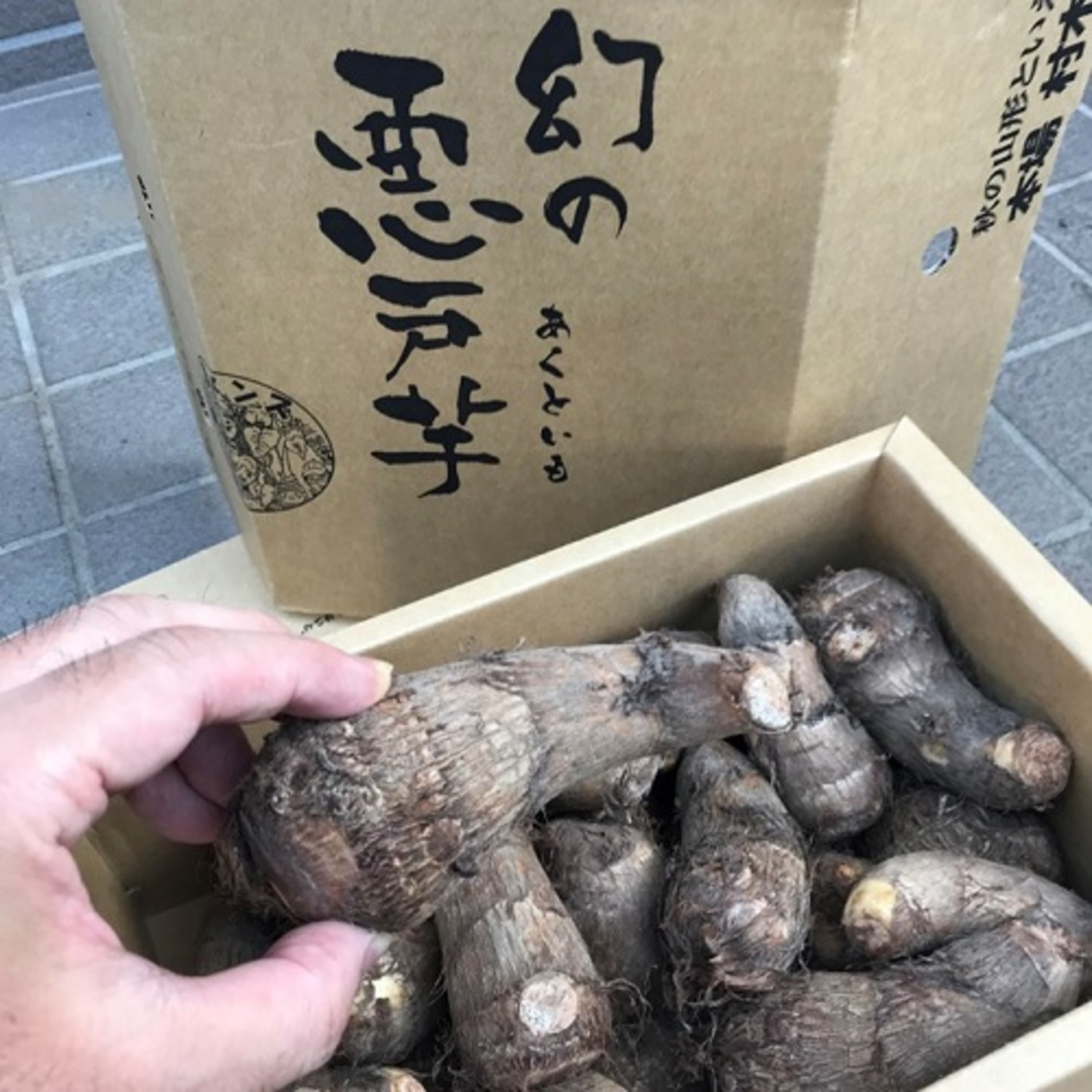 #190 在来作物を未来へつなぐ