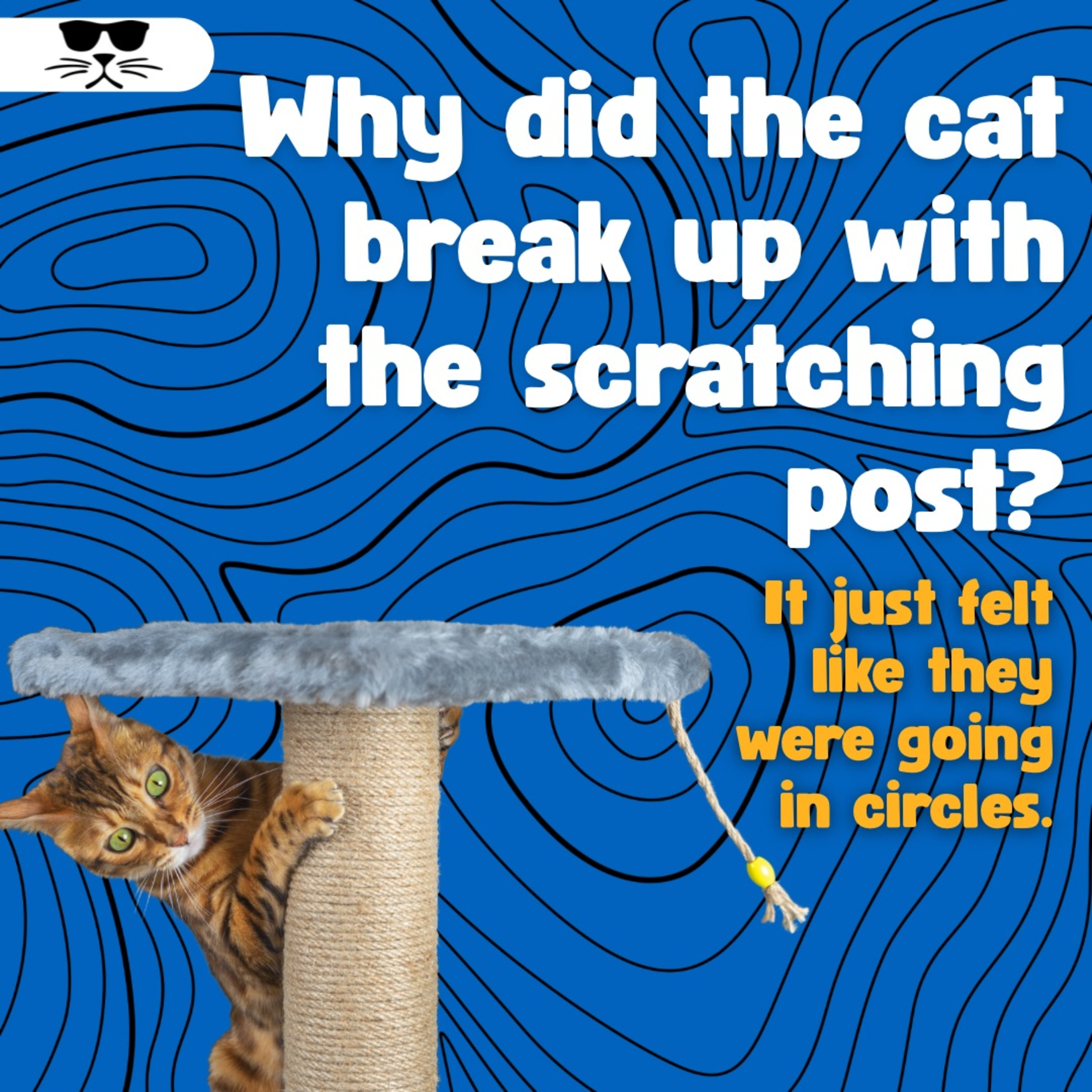 Pet-Safe Bubbles: A New Way to Entertain Cats and Dogs episode artwork