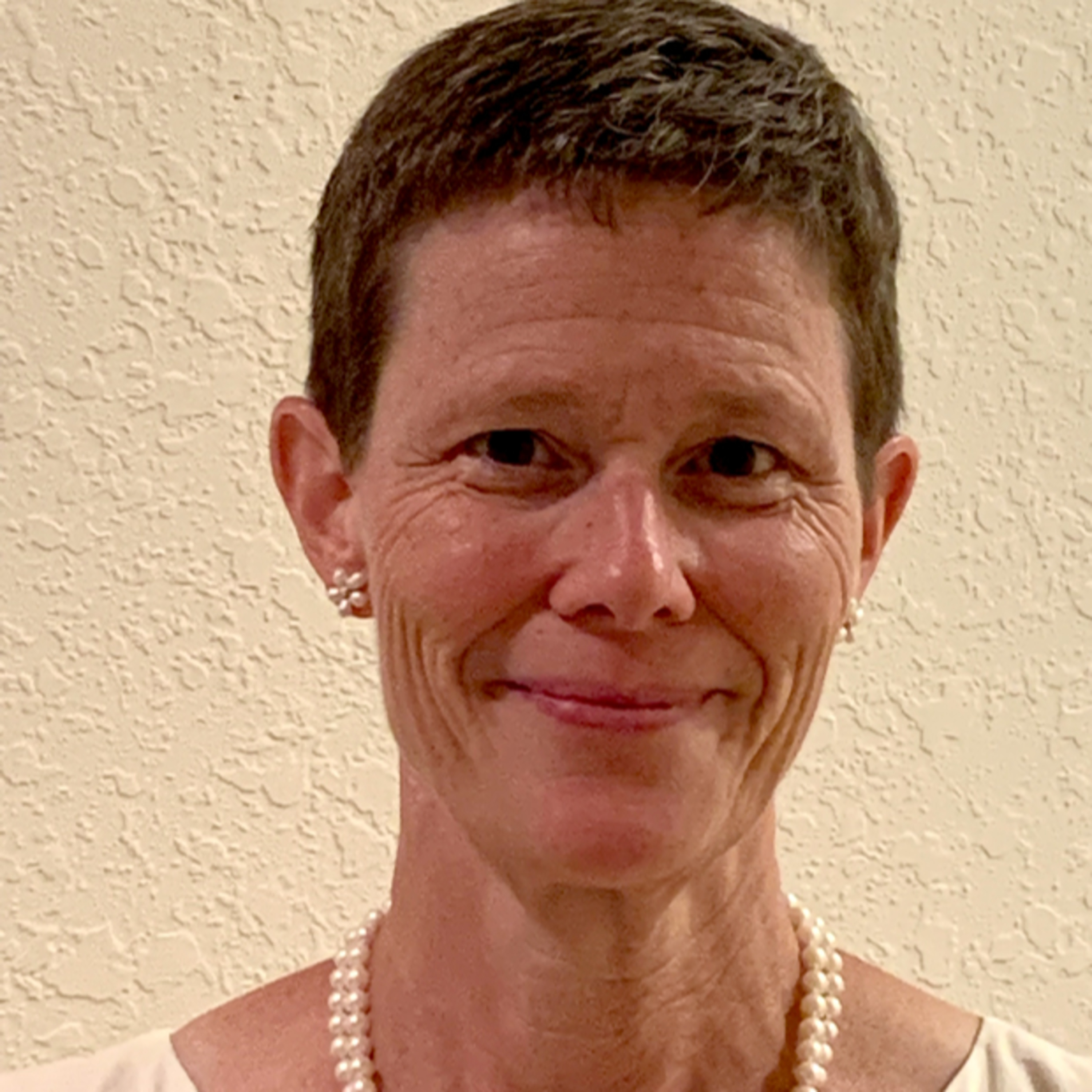 Minnesota author/teacher/administrator for many years Sarah Deschamps is my very special guest! episode artwork