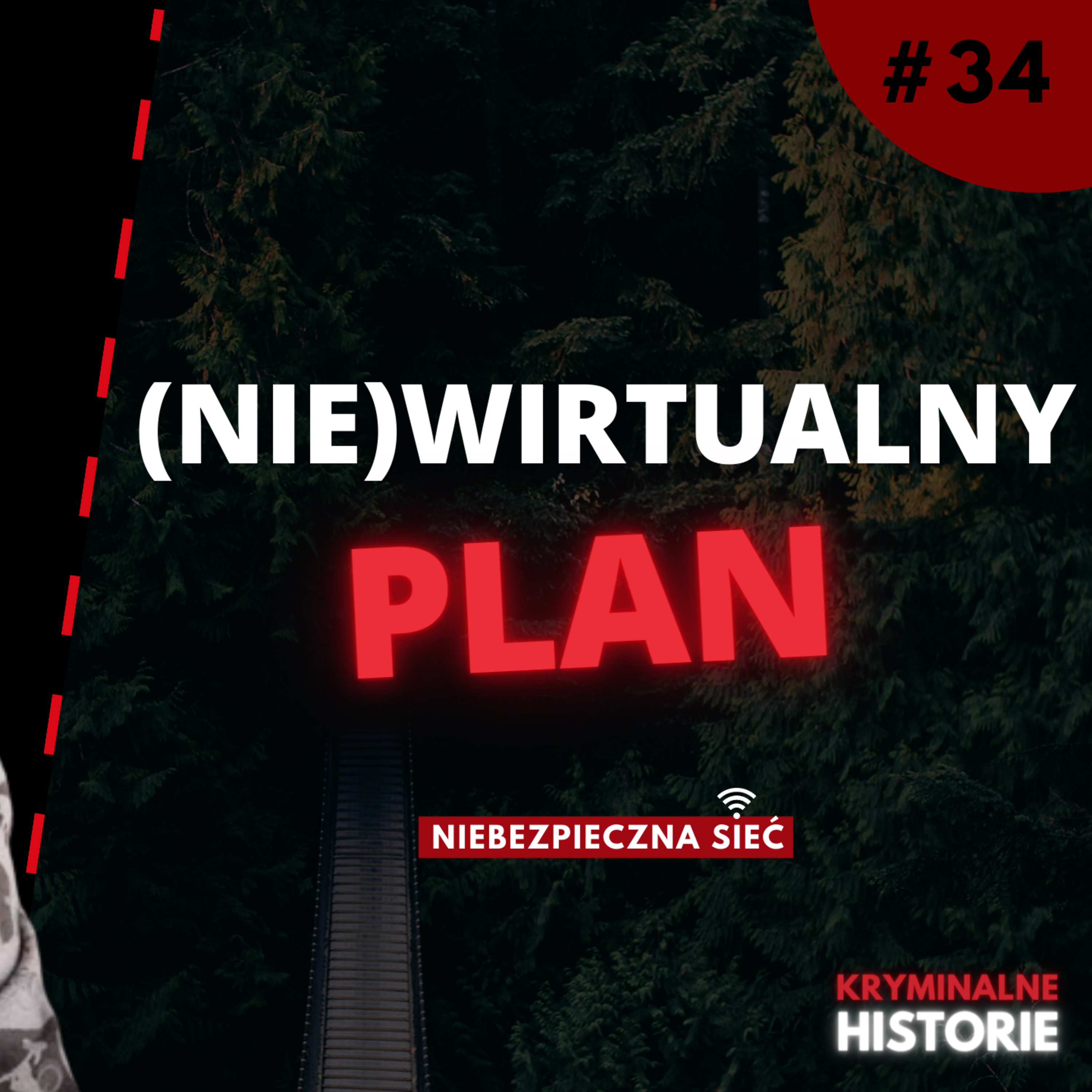 NIEBEZPIECZNA SIEĆ: ZBRODNIĘ ZAPLANOWALI NA CZACIE MSN #34