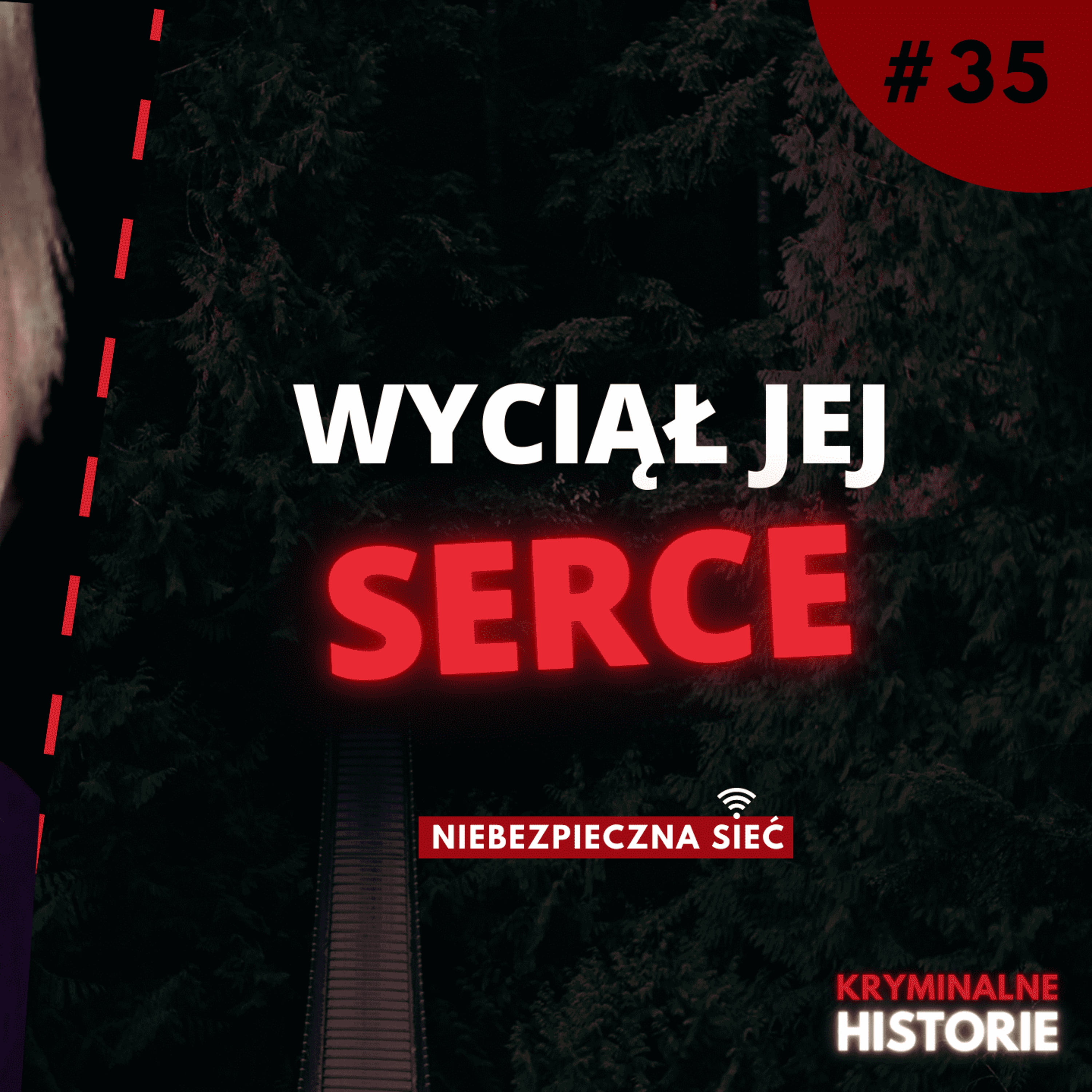 NIEBEZPIECZNA SIEĆ: BYŁA W ZŁYM MIEJSCU I W ZŁYM CZASIE #35