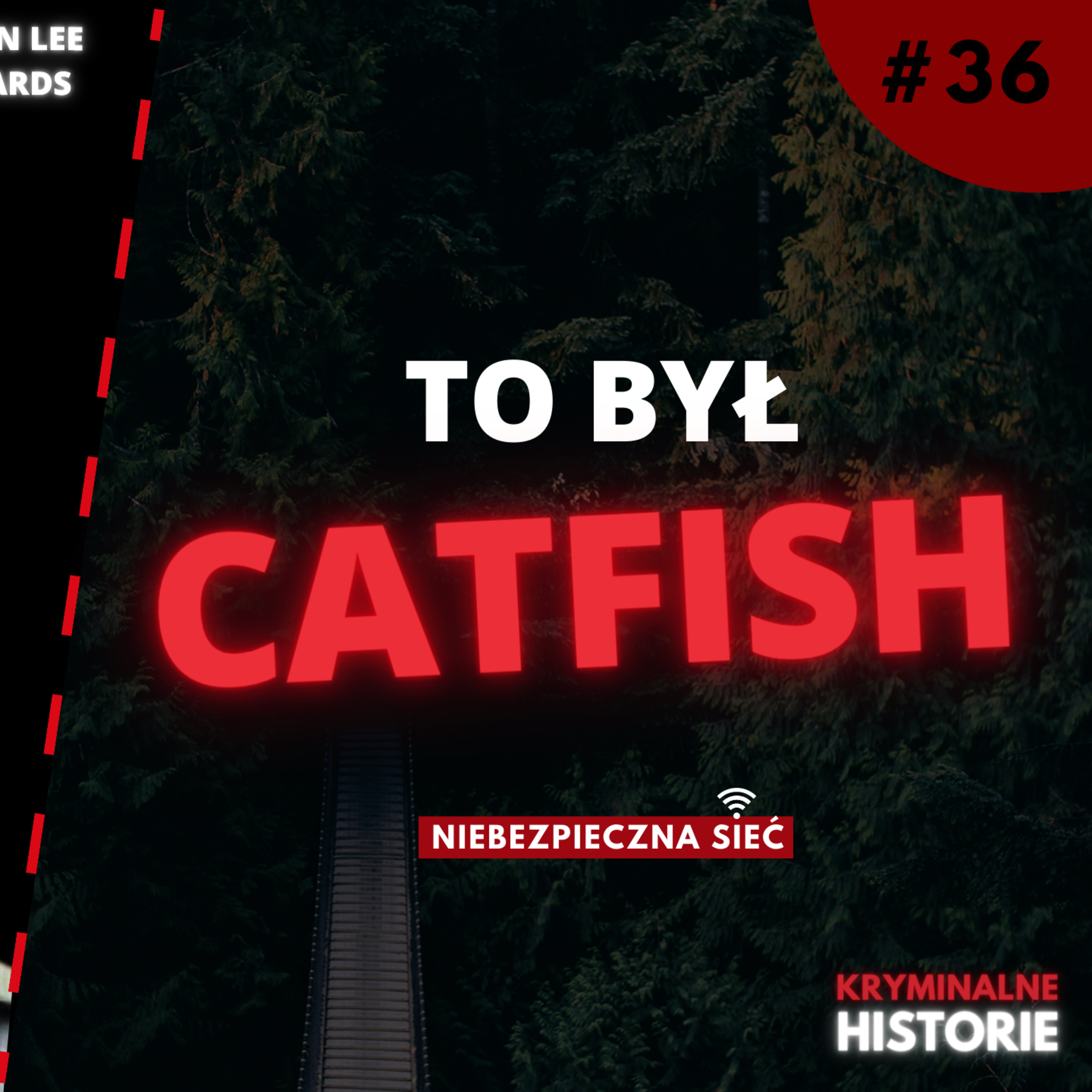 NIEBEZPIECZNA SIEĆ: TO BYŁ CATFISH #36