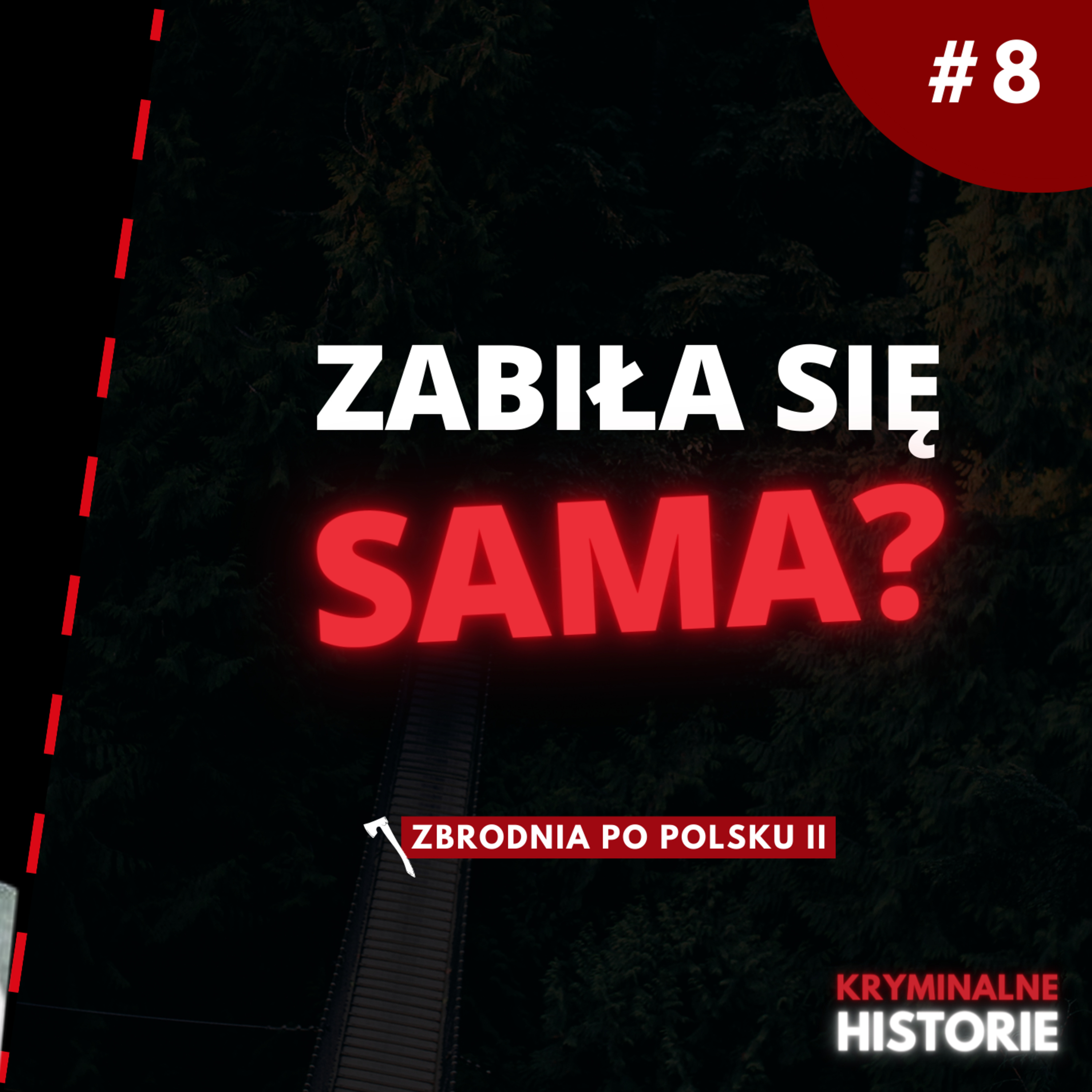 CO WYDARZYŁO SIĘ W MIESZKANIU W SKIERNIEWICACH? | ZBRODNIA PO POLSKU II #8