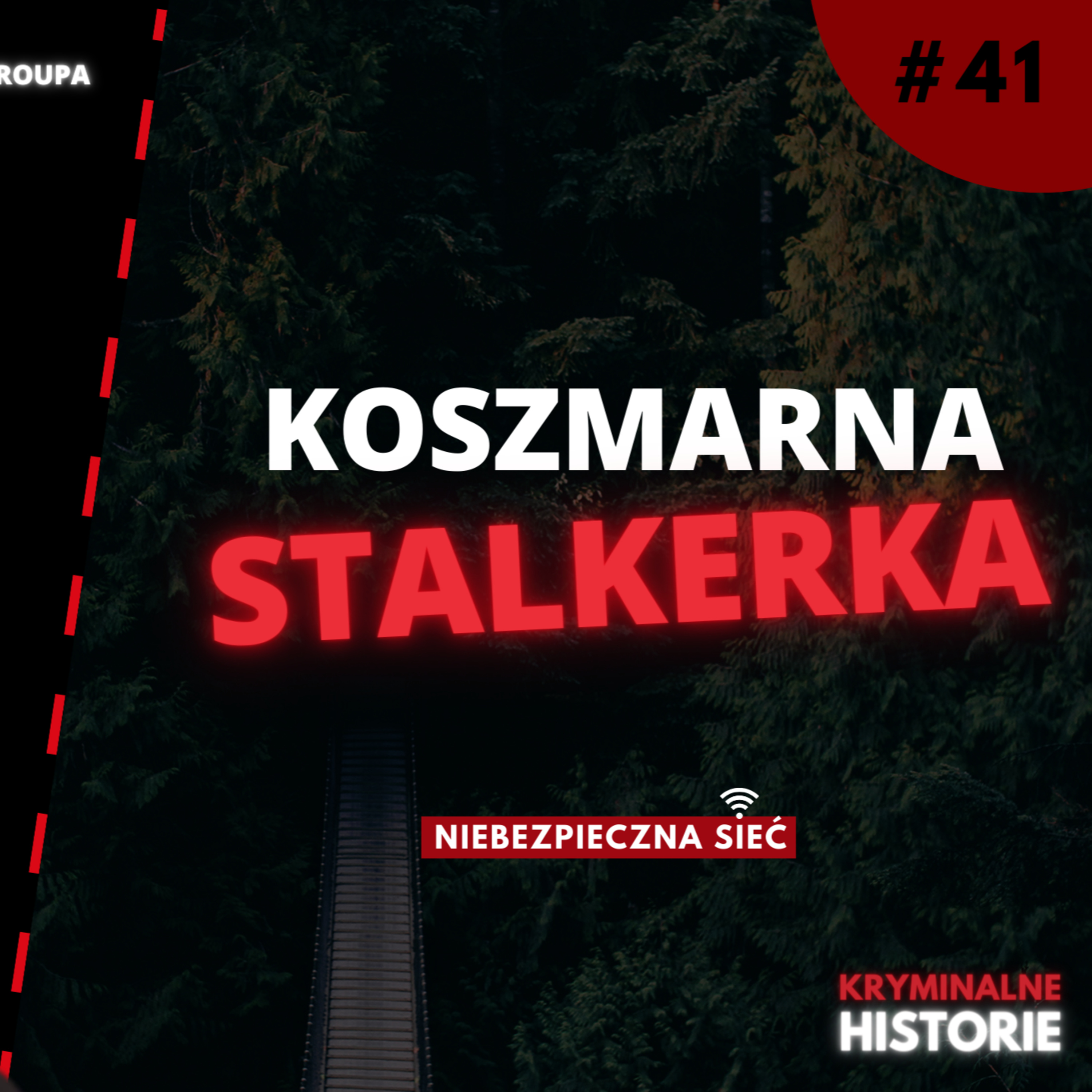 NIEBEZPIECZNA SIEĆ: NAPISAŁA DO NIEGO PONAD 50 TYSIĘCY WIADOMOŚCI #41