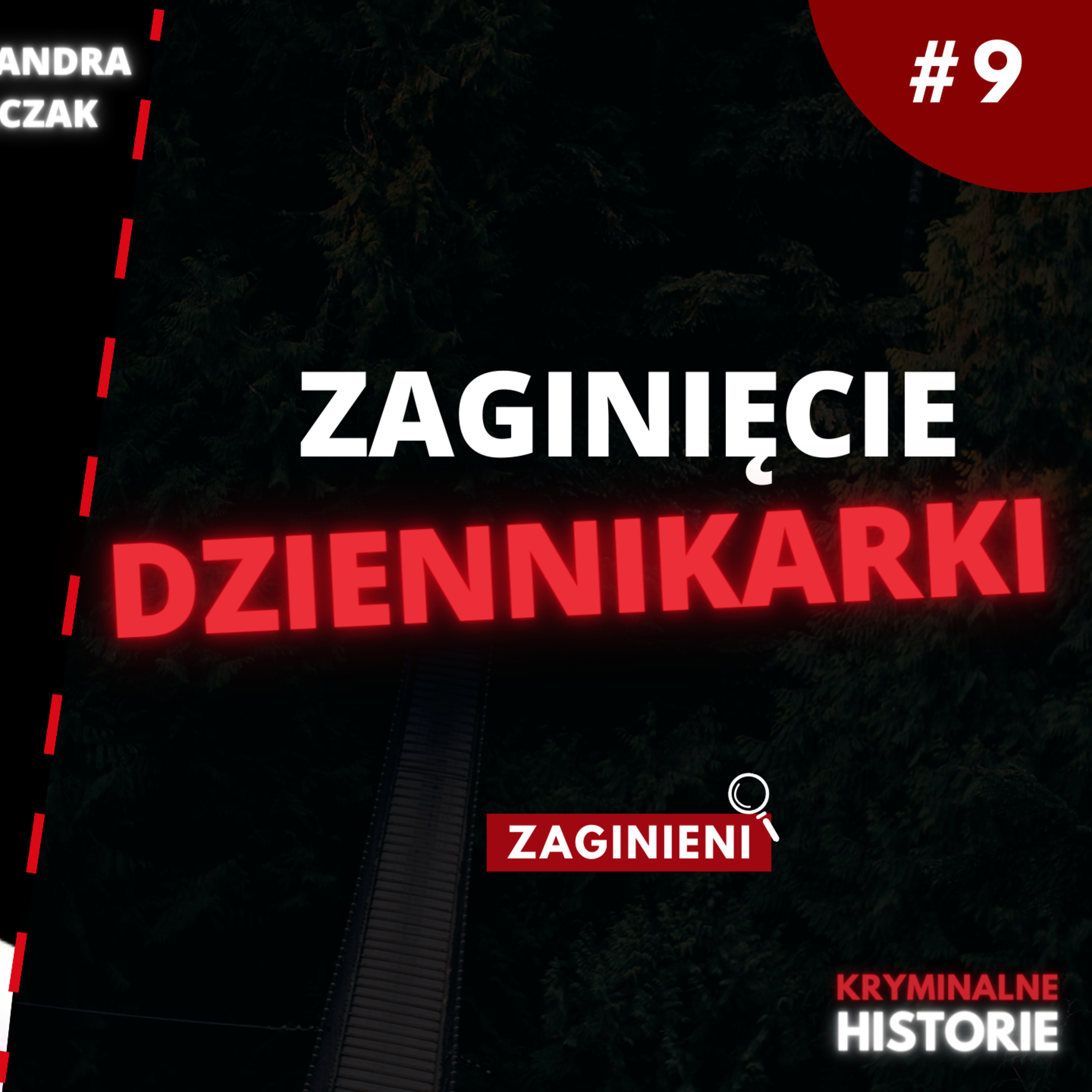 DLACZEGO NIE DOTARŁA DO DOMU? | ZAGINIENI #9