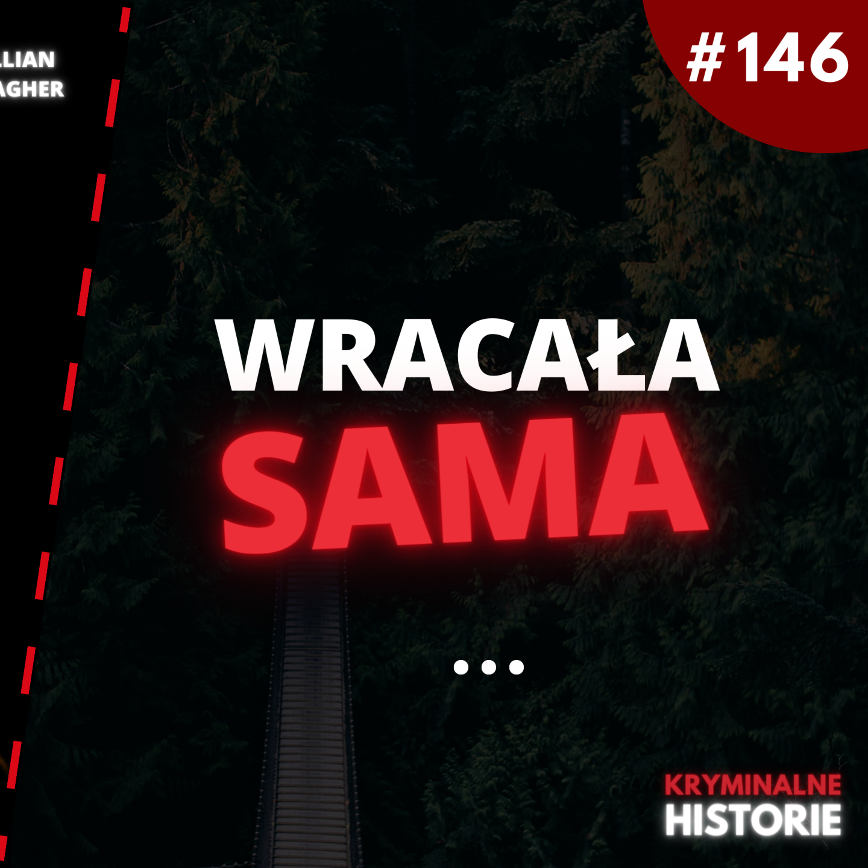 ZAATAKOWAŁ, GDY WRACAŁA SAMA DO DOMU #146