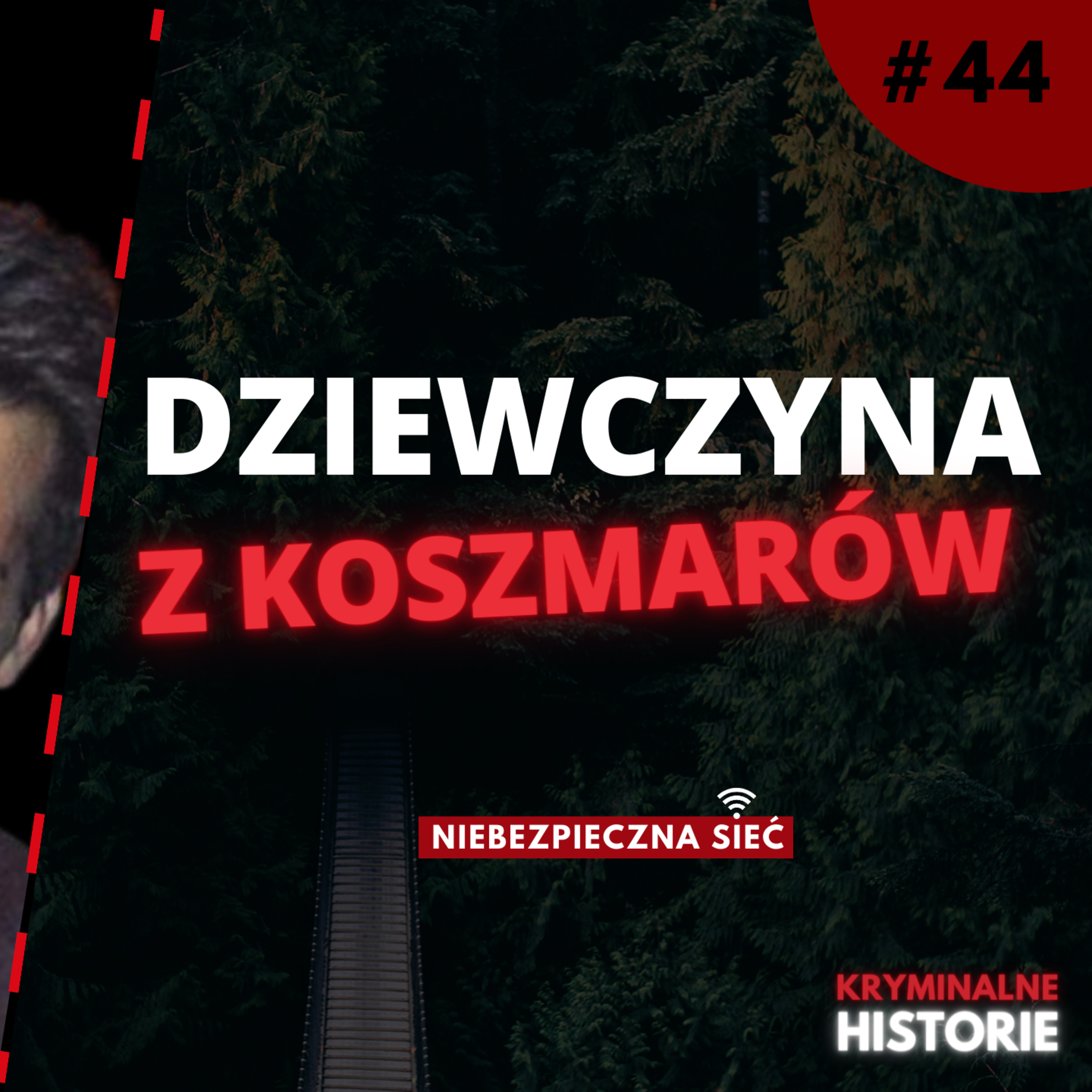 NIEBEZPIECZNA SIEĆ: OBSESJA, ZAZDROŚĆ I ZEMSTA | RYAN POSTEN I SHAYNA HUBERS #44