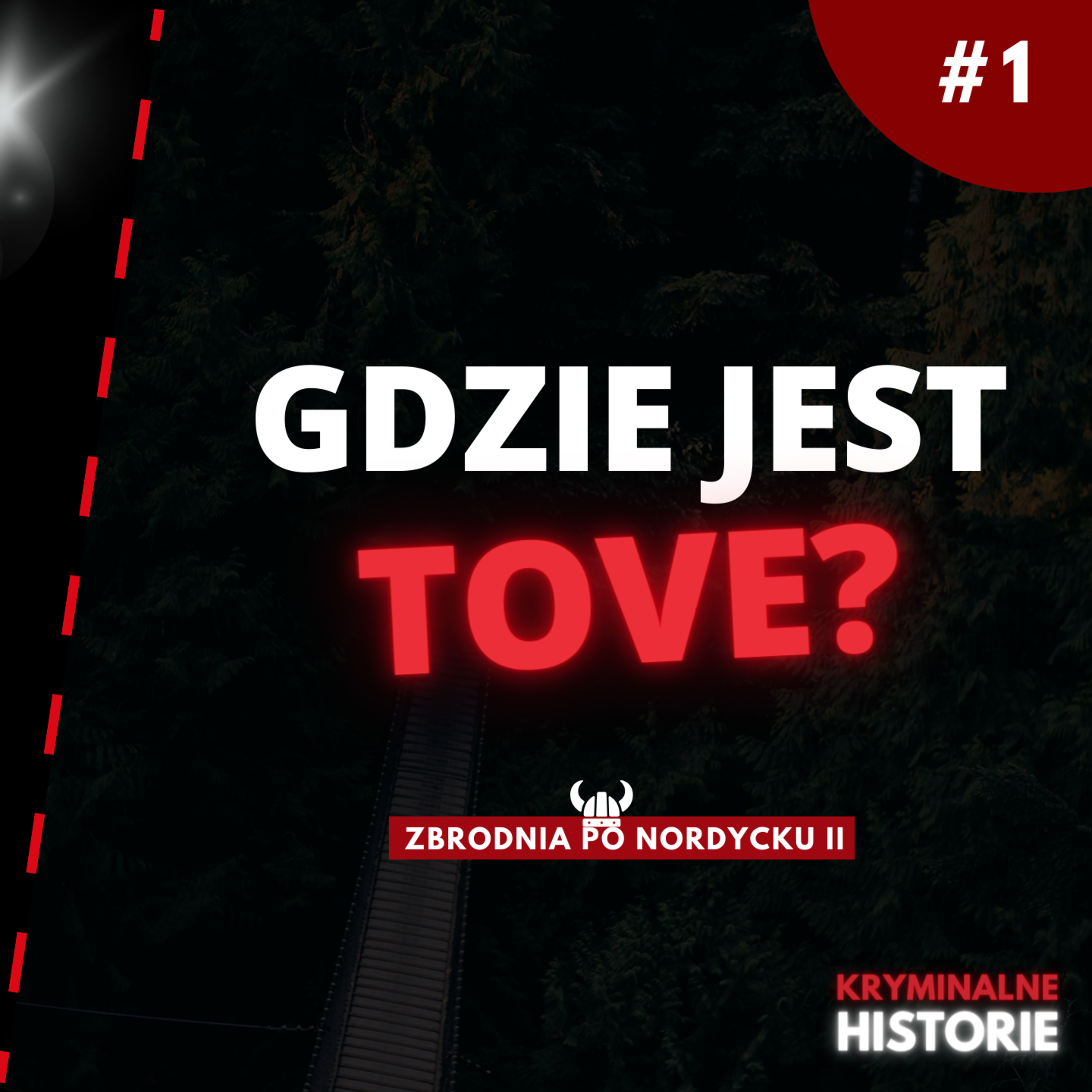 ZBRODNIA PO NORDYCKU II: ZAGINIĘCIE, KTÓRE WSTRZĄSNĘŁO SZWECJĄ | HISTORIA TOVE TÖNNIES #1