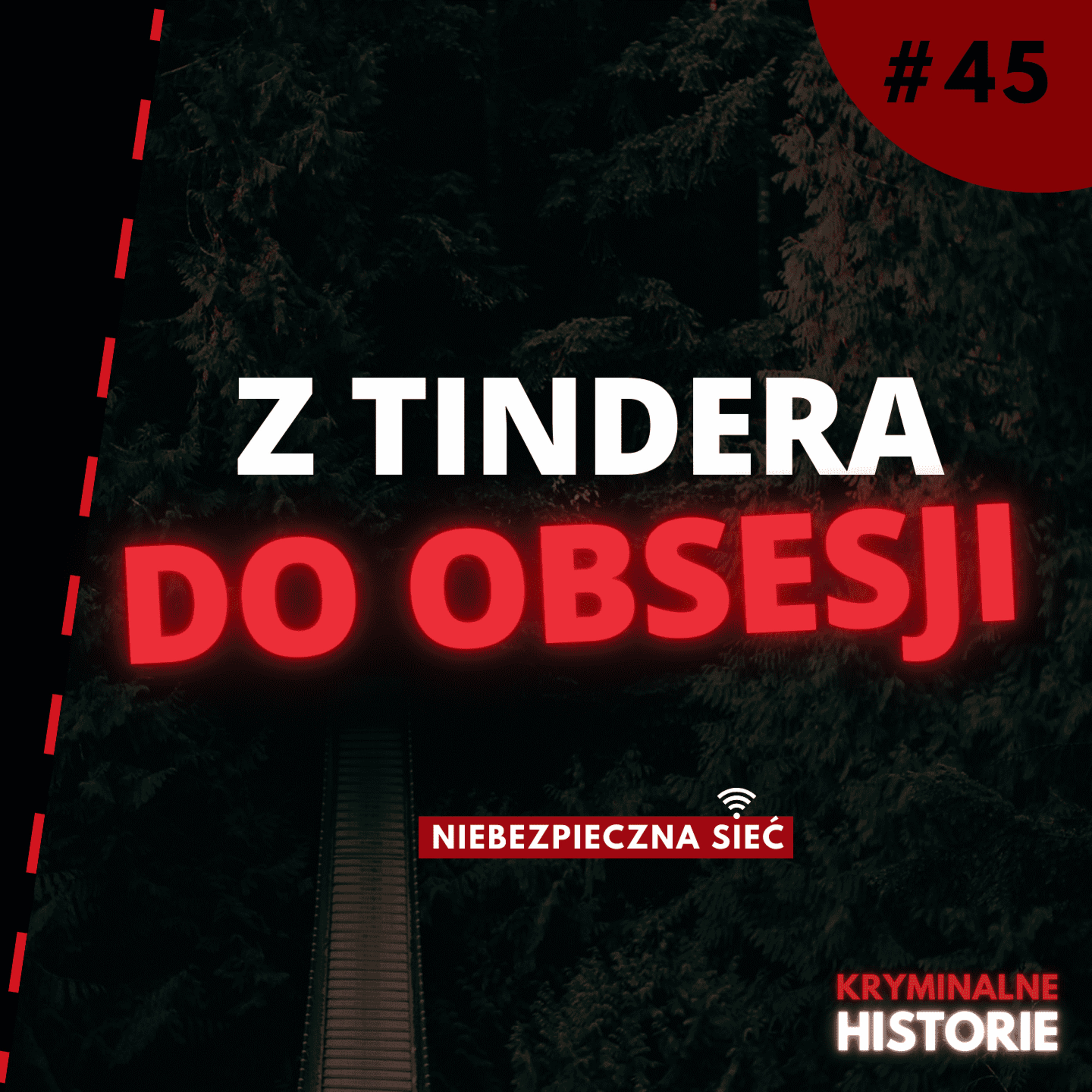 NIEBEZPIECZNA SIEĆ: TRAGICZNA HISTORIA MIEKE OORT | TINDER, OBSESJA I ŚLEDZENIE #45