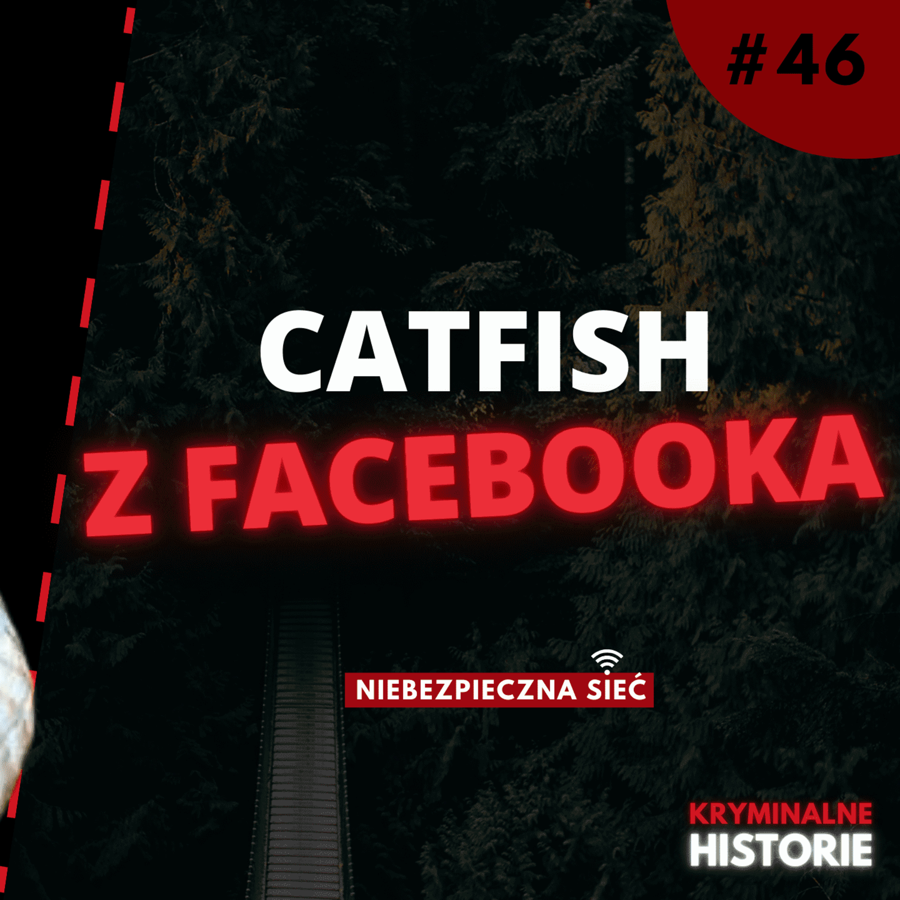 NIEBEZPIECZNA SIEĆ: W SIECI KŁAMSTW | OD PRZYJACIÓŁ NA FACEBOOKU DO MORDERSTWA #46