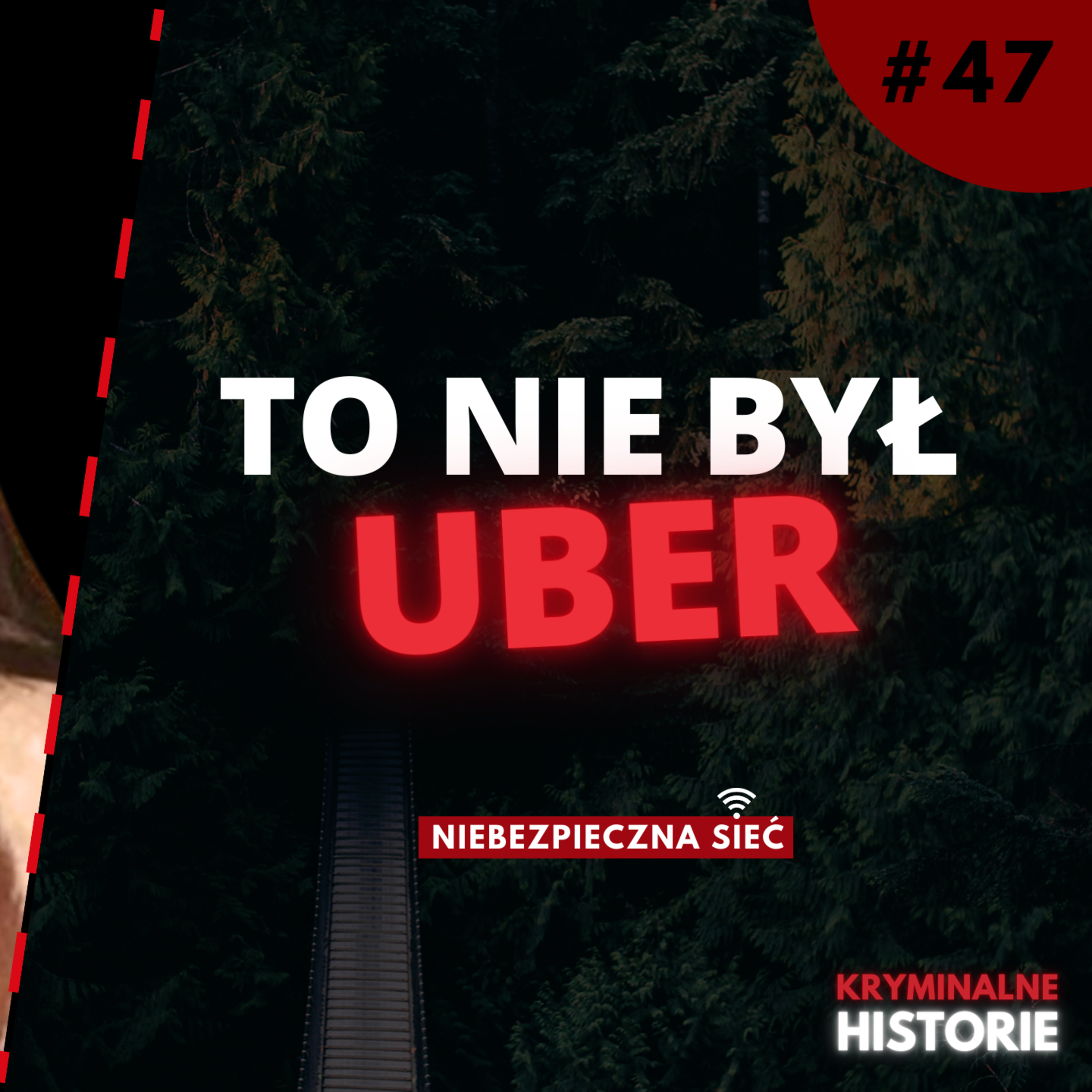 NIEBEZPIECZNA SIEĆ: WSIADŁA DO AUTA I ŚLAD PO NIEJ ZAGINĄŁ | SAMANTHA JOSEPHSON #47