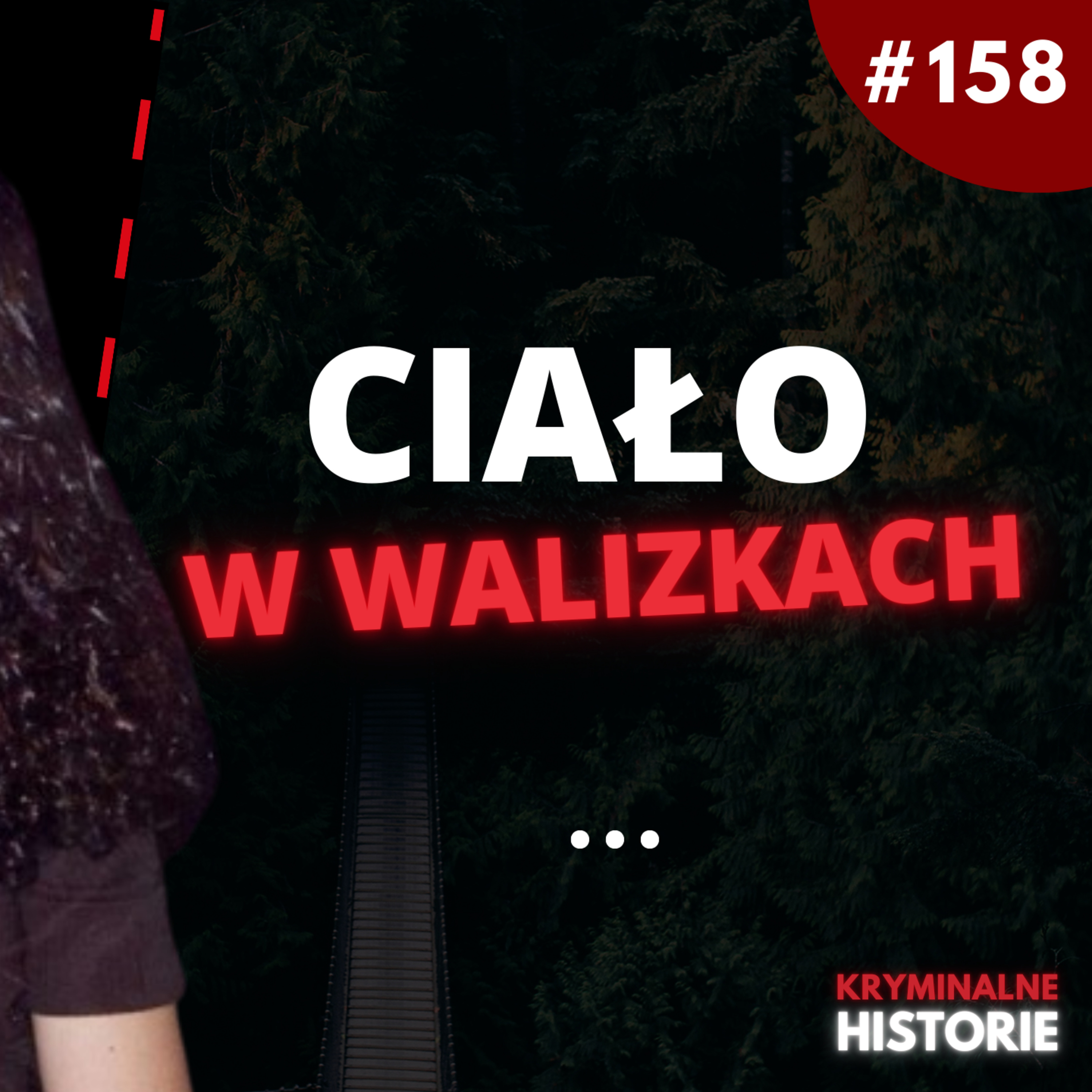 „SUITCASE KILLER": ZBRODNIA UKRYTA W WALIZKACH | BILL I MELANIE MCGUIRE'OWIE#158