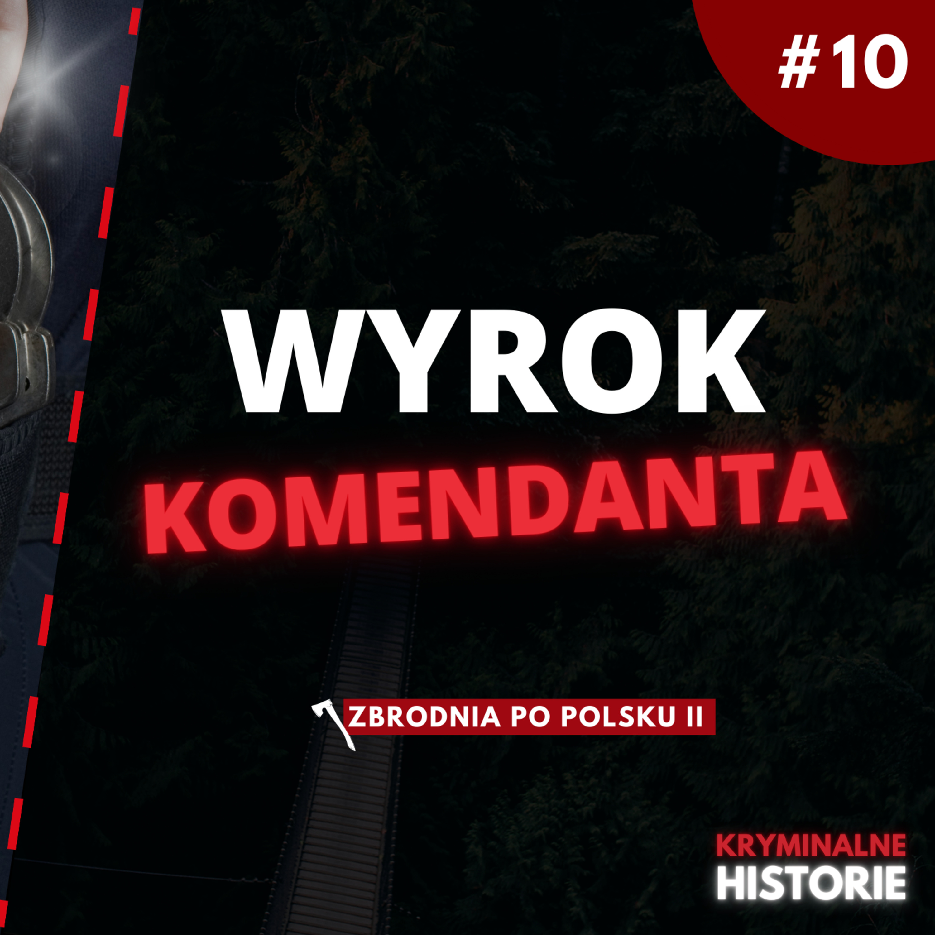 TROPY PROWADZIŁY DO JEDNEJ OSOBY | ZBRODNIA PO POLSKU II #10