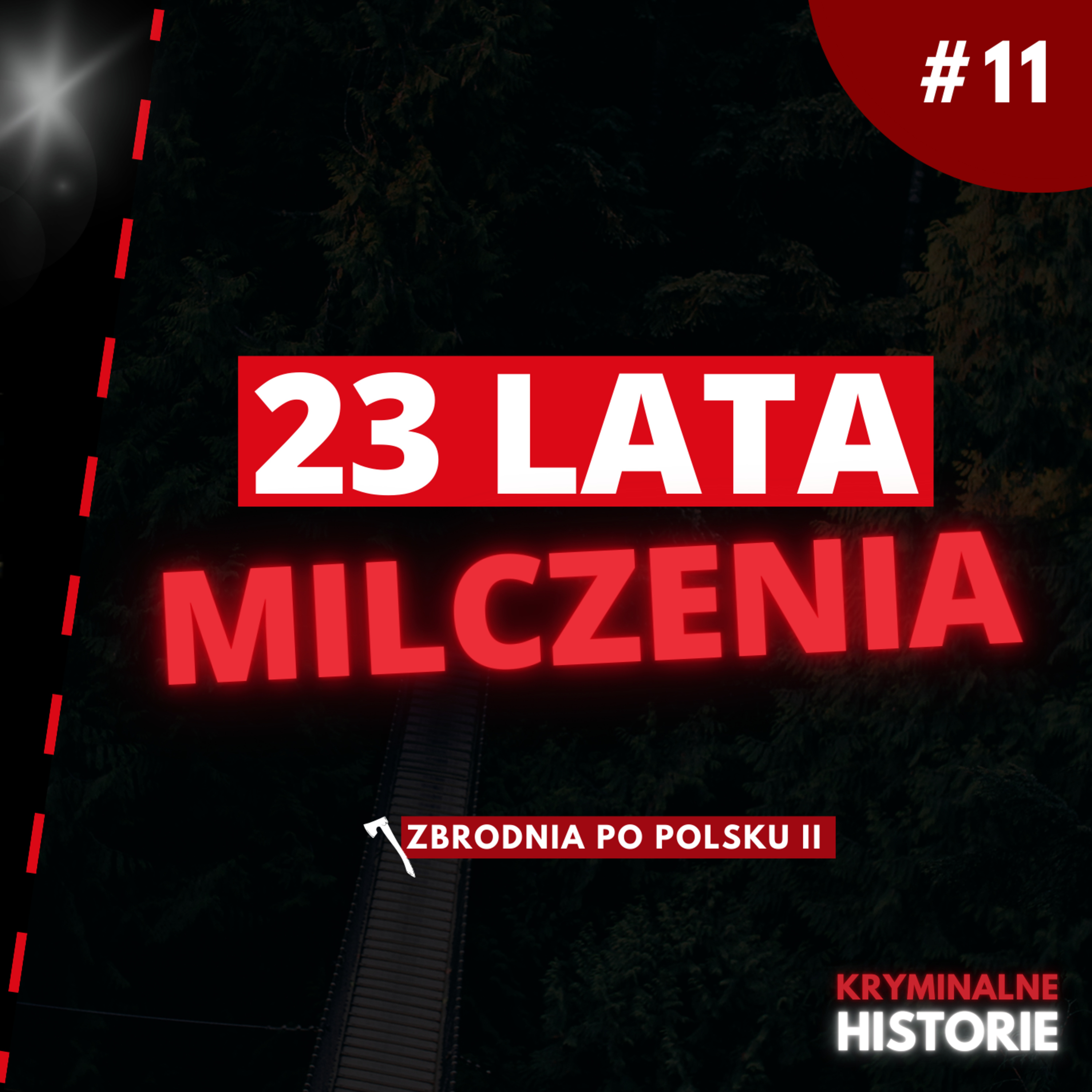 PRAWDA, KTÓRA NIE MIAŁA WYJŚĆ NA JAW | ZBRODNIA PO POLSKU II #11