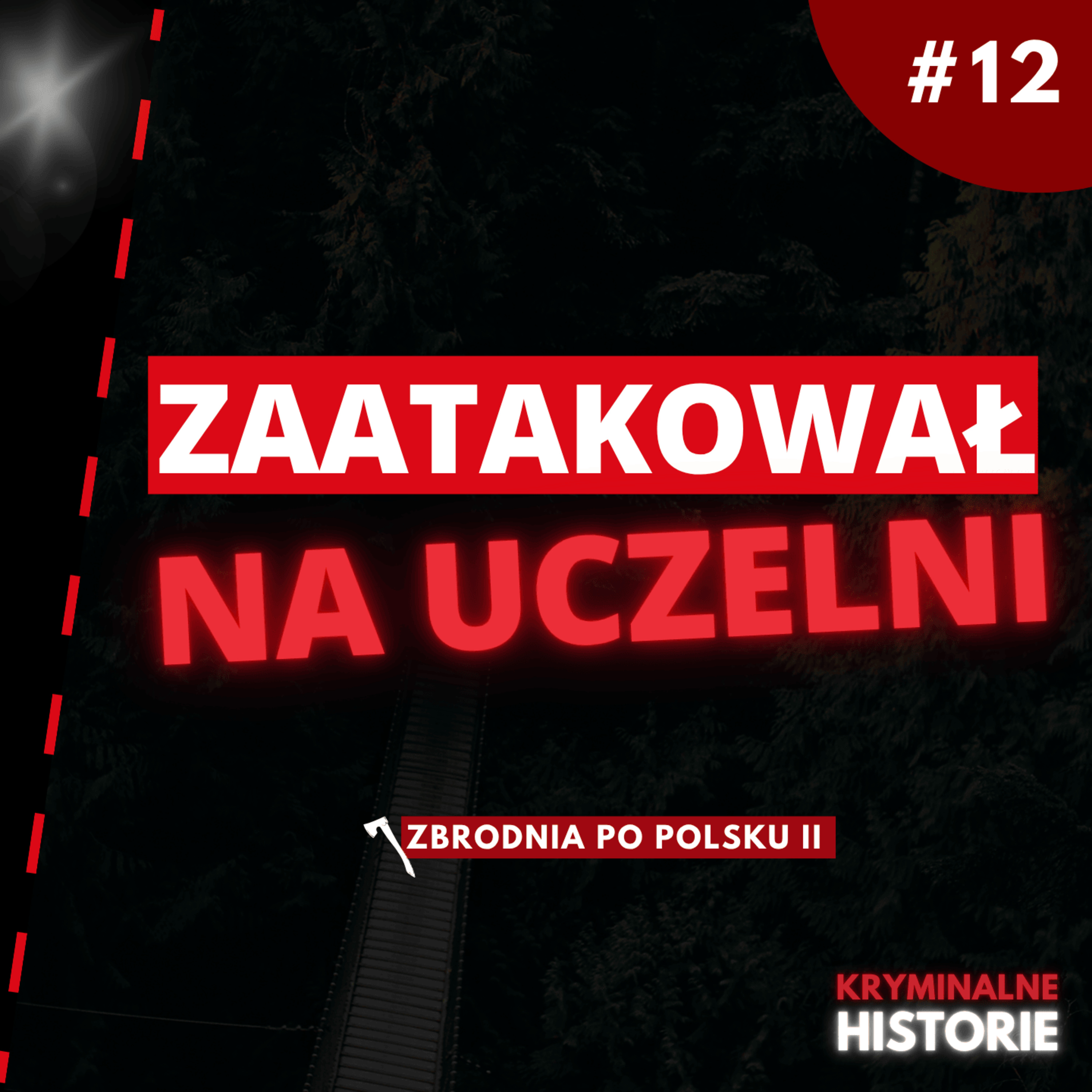 ZBRODNIA NA KAMPUSIE PG: ZAATAKOWAŁ SIEKIERĄ | ZBRODNIA PO POLSKU II #12