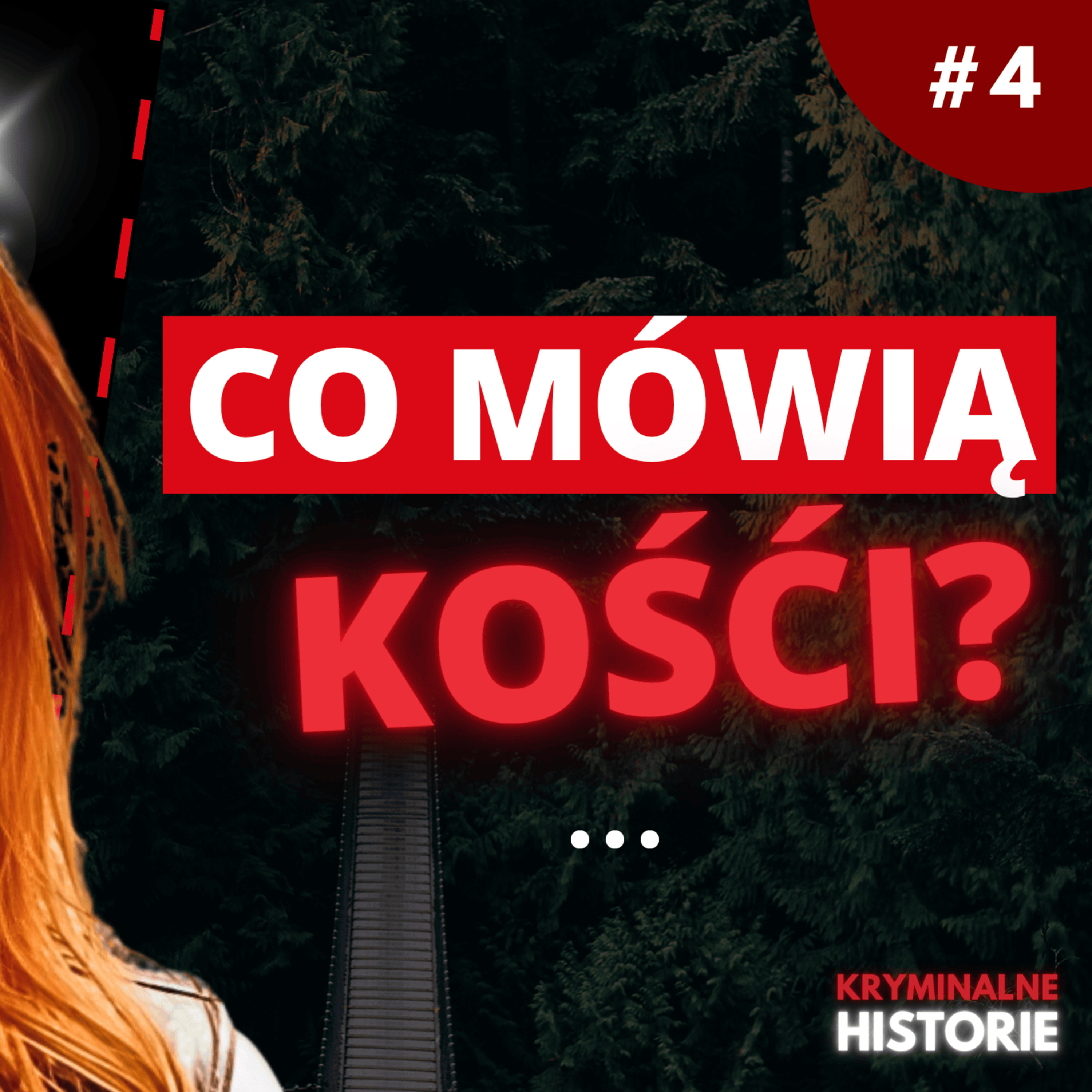 Kryminalne Historie