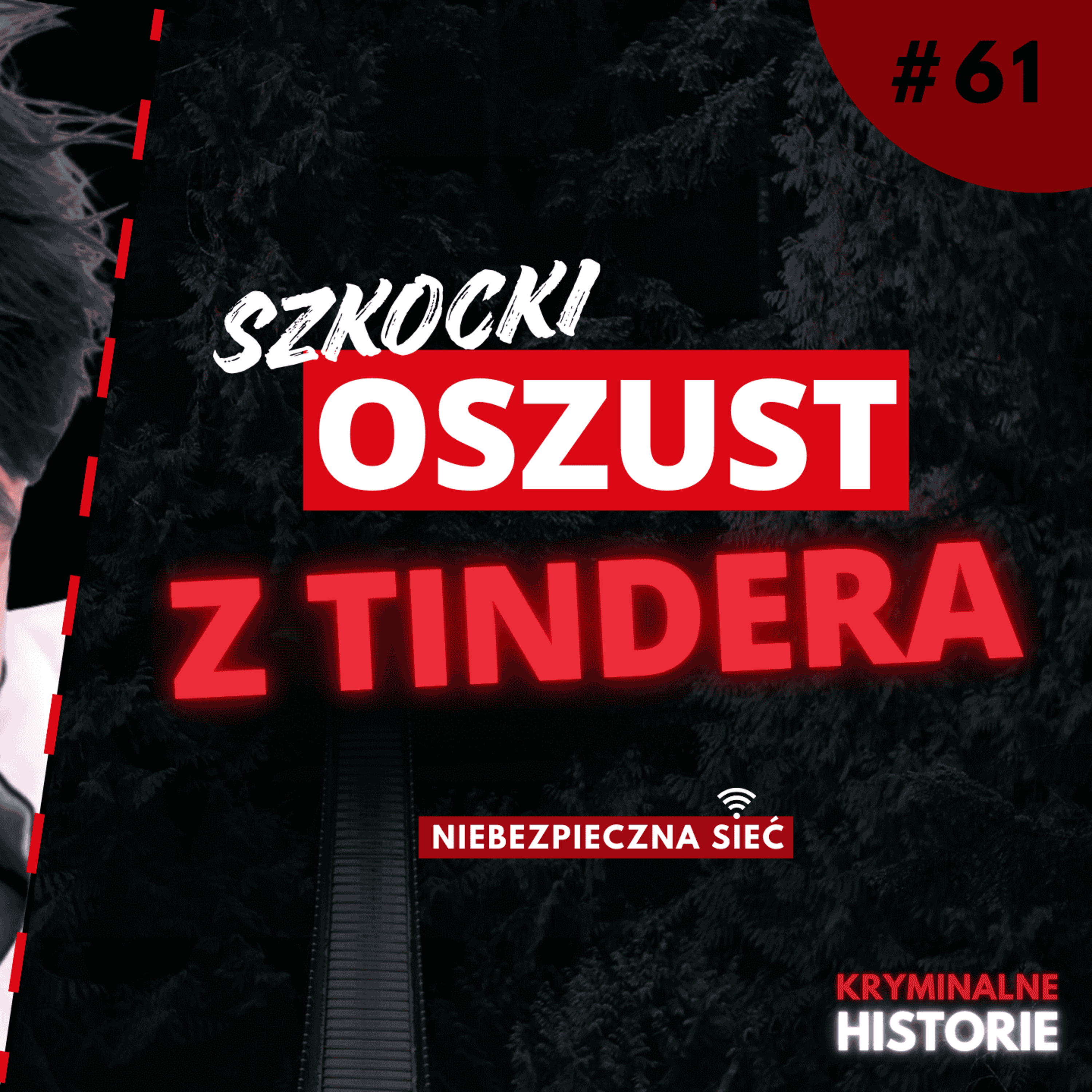 NAJWIĘKSZY OSZUST RANDKOWY W SZKOCJI? – HISTORIA CHRISTOPHERA HARKINSA | NIEBEZPIECZNA SIEĆ #61