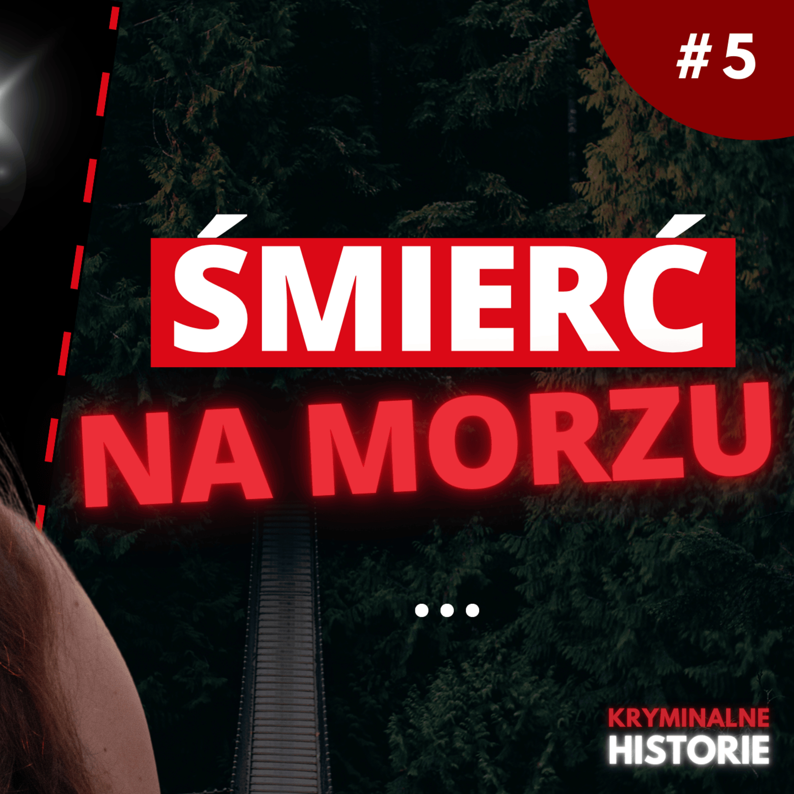 TAJEMNICZA ŚMIERĆ ŻEGLARZA. EWA PRZYDRYGA O „ZĘZIE”: O INSPIRACJACH I KULISACH KSIĄŻKI #5