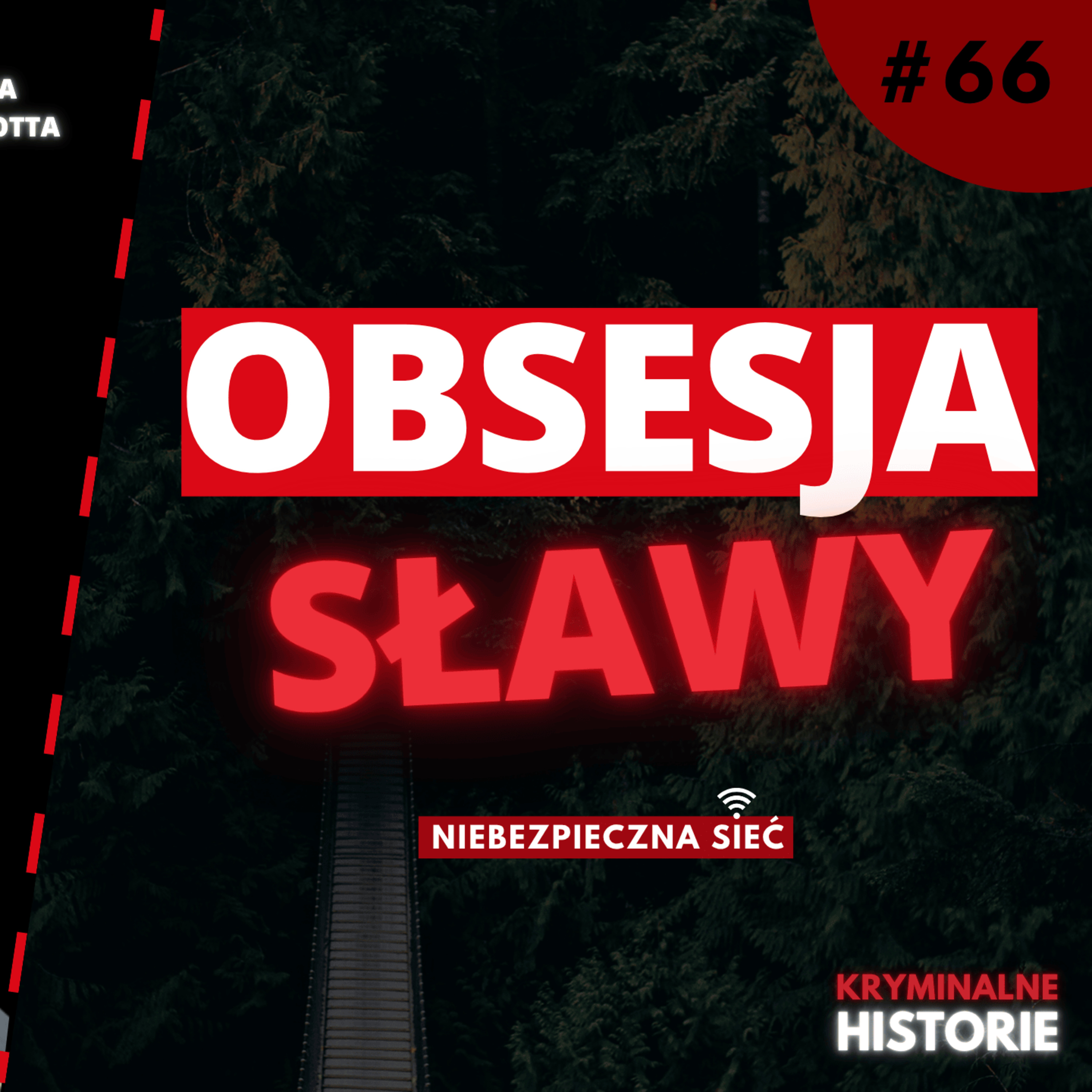 ZABIŁ, BY BYĆ SŁAWNY. HISTORIA LUKI MAGNOTTY | NIEBEZPIECZNA SIEĆ #66