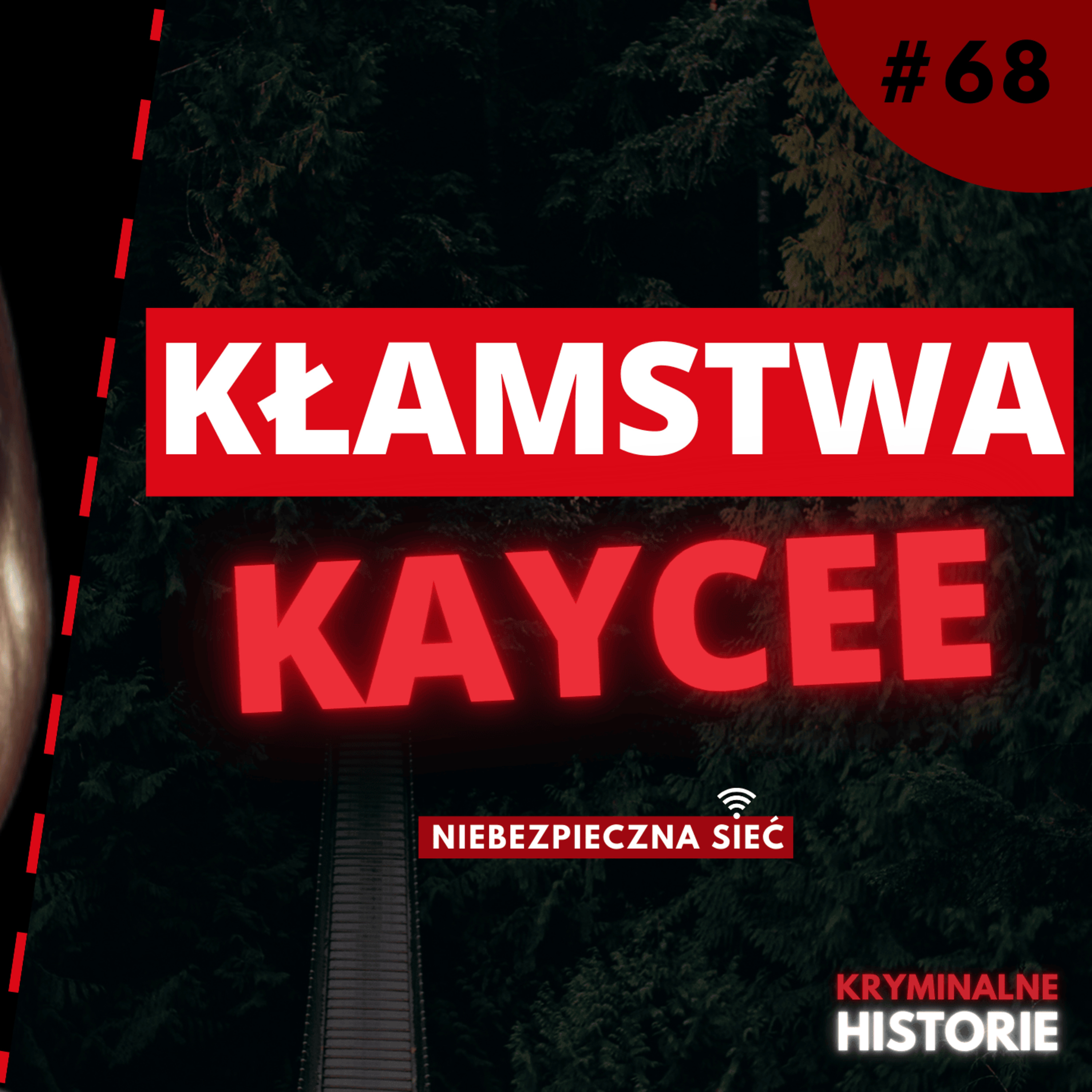 OSZUKAŁA WSZYSTKICH. KIM NAPRAWDĘ BYŁA KAYCEE NICOLE? | NIEBEZPIECZNA SIEĆ #68