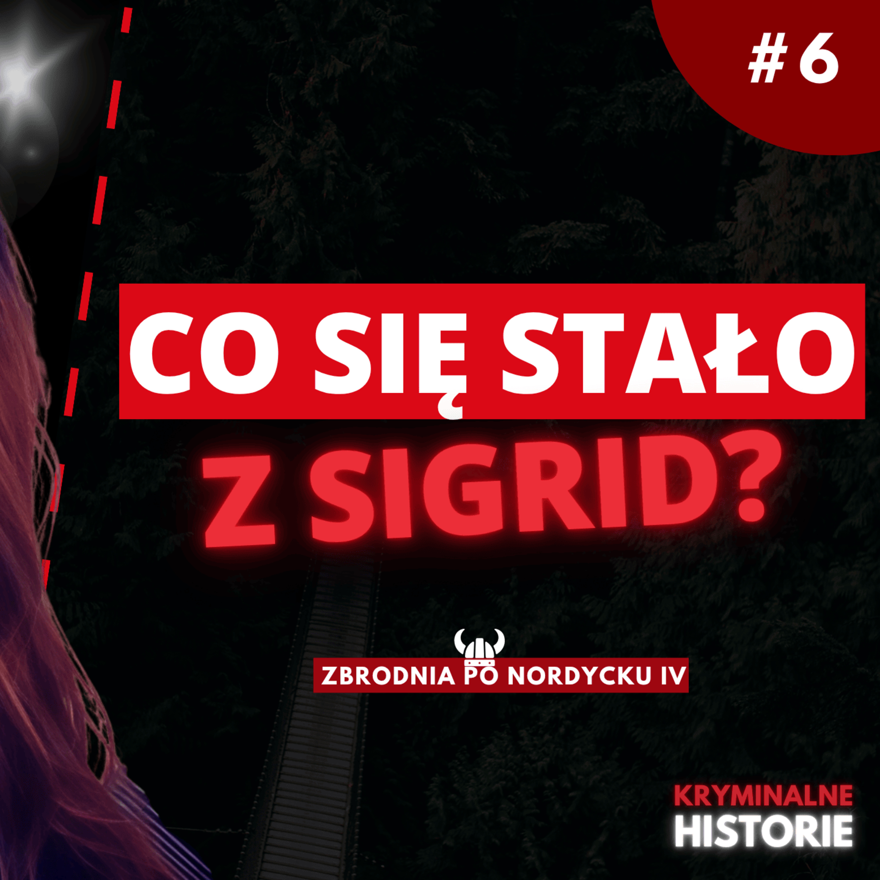 ZNIKNĘŁA 300 METRÓW OD DOMU. SPRAWA SIGRID GISKEGJERDE SCHJETNE #6 | ZBRODNIA PO NORDYCKU IV