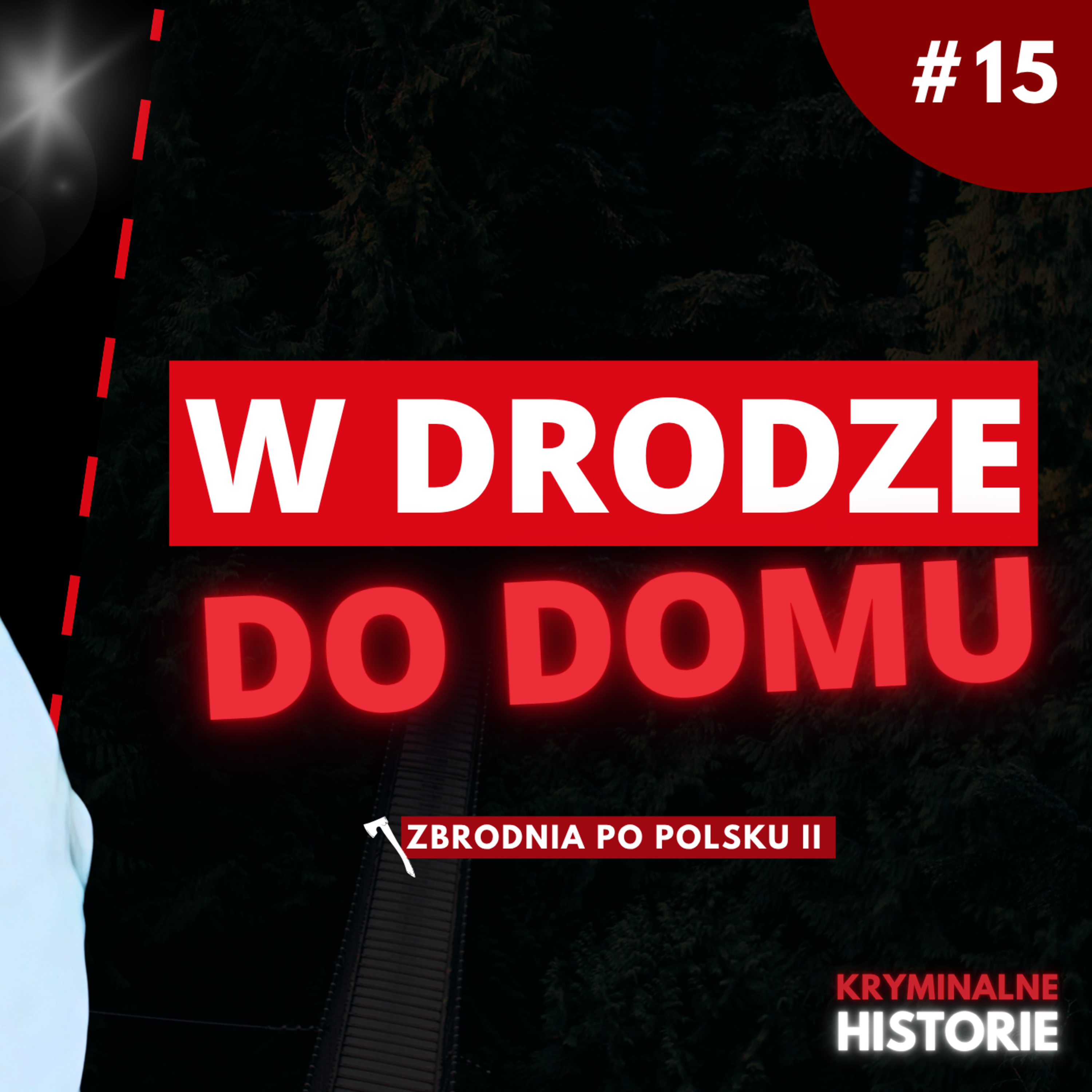 EWELINA NIE WRÓCIŁA DO DOMU. CO JEJ SIĘ PRZYDARZYŁO? | ZBRODNIA PO POLSKU II #15