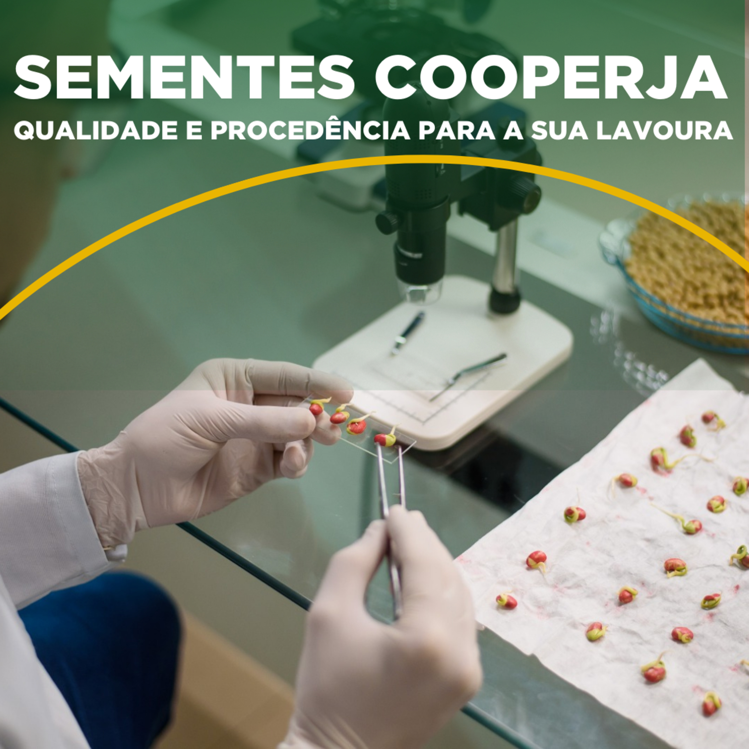 INFORMATIVO COOPERJA