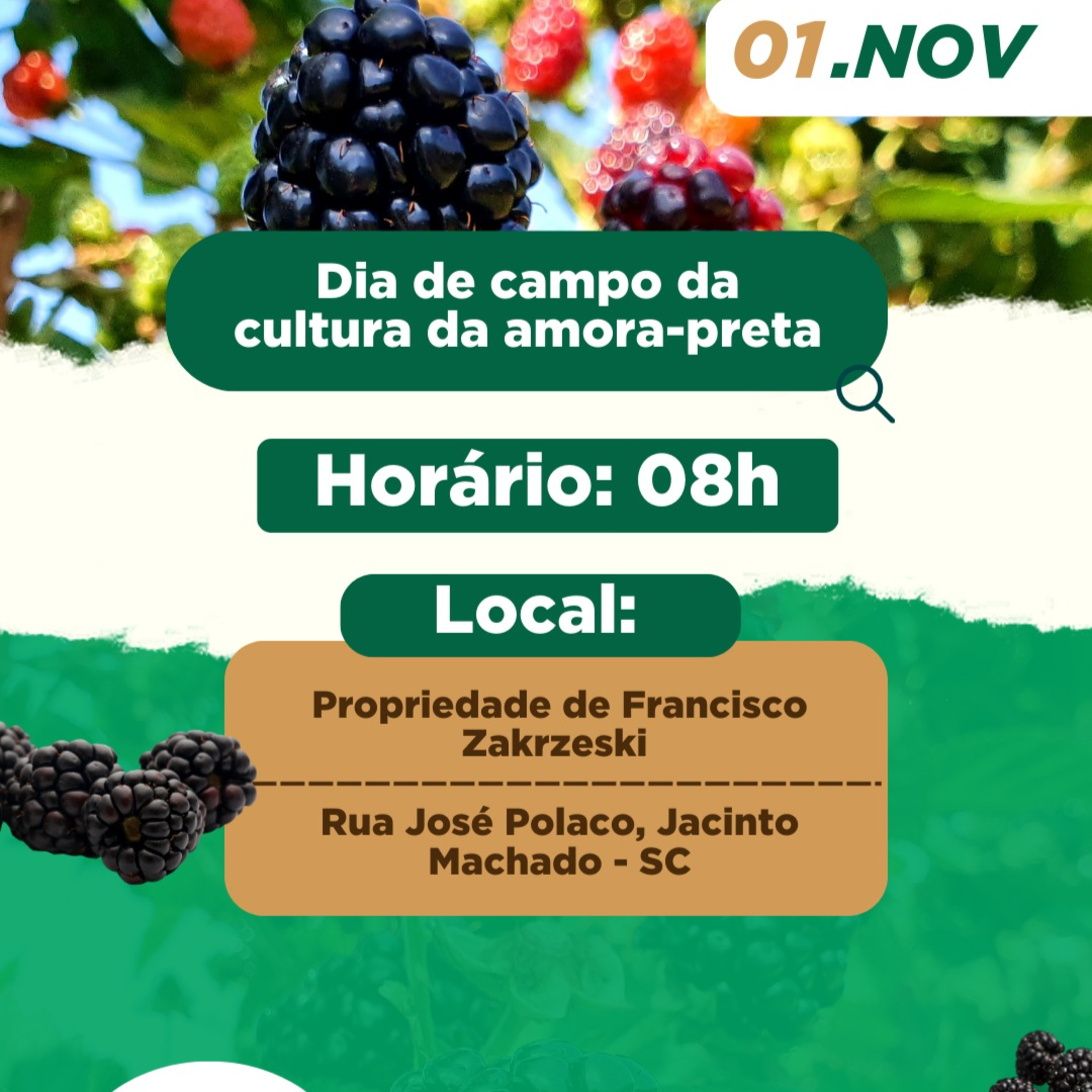 INFORMATIVO COOPERJA