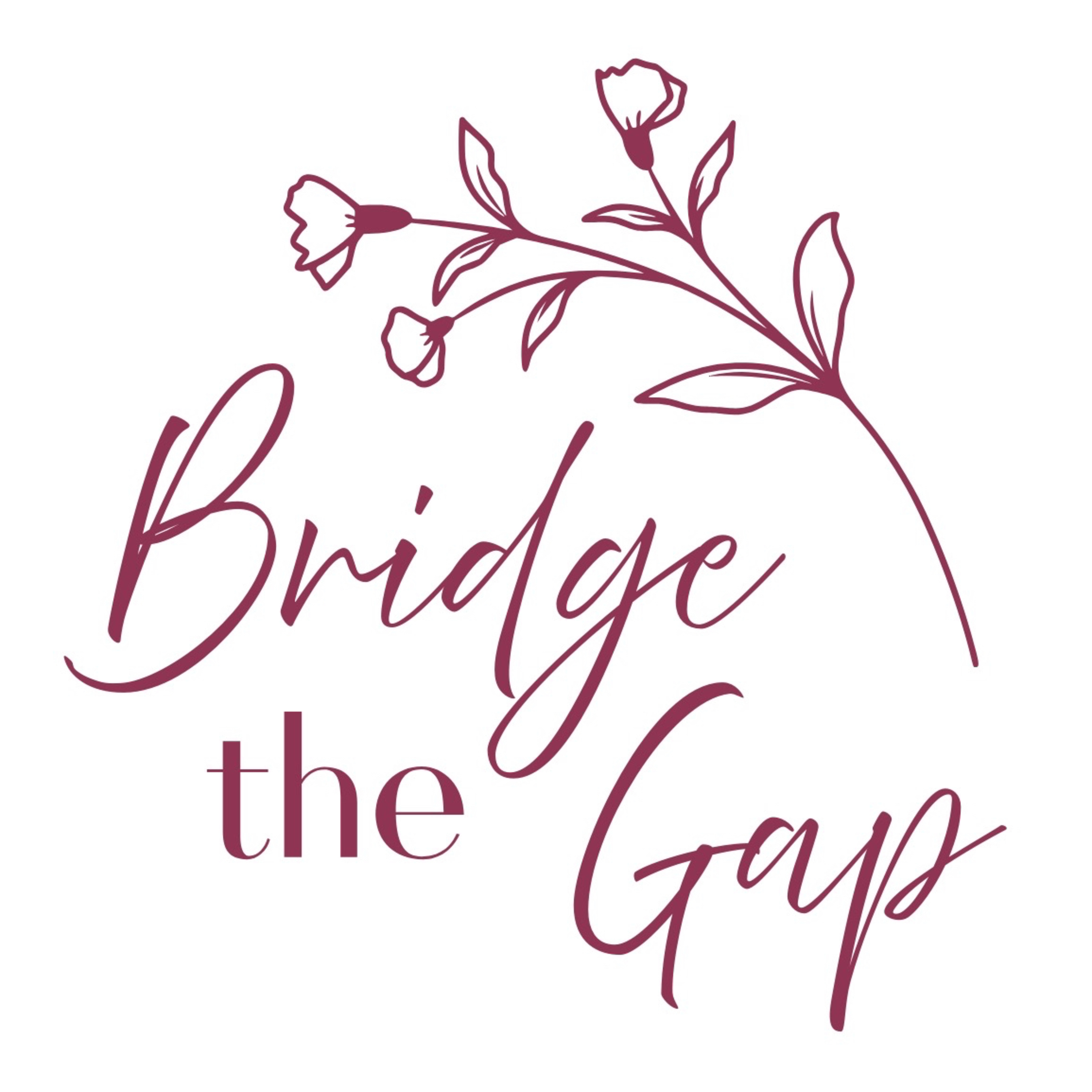 46| Bridge The Gap With Haylee (1/5) episode artwork