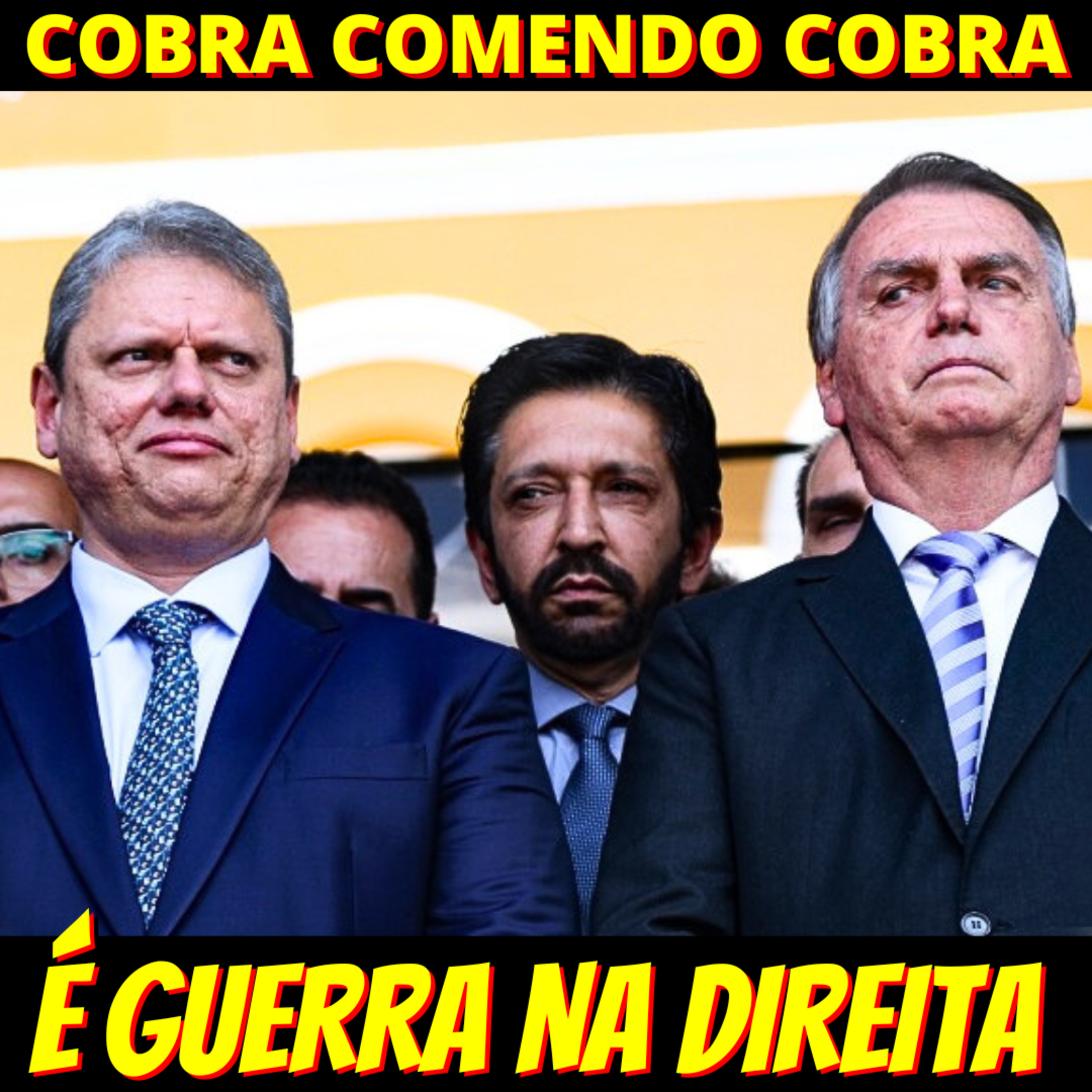 Pensando Alto Roberto Cardoso