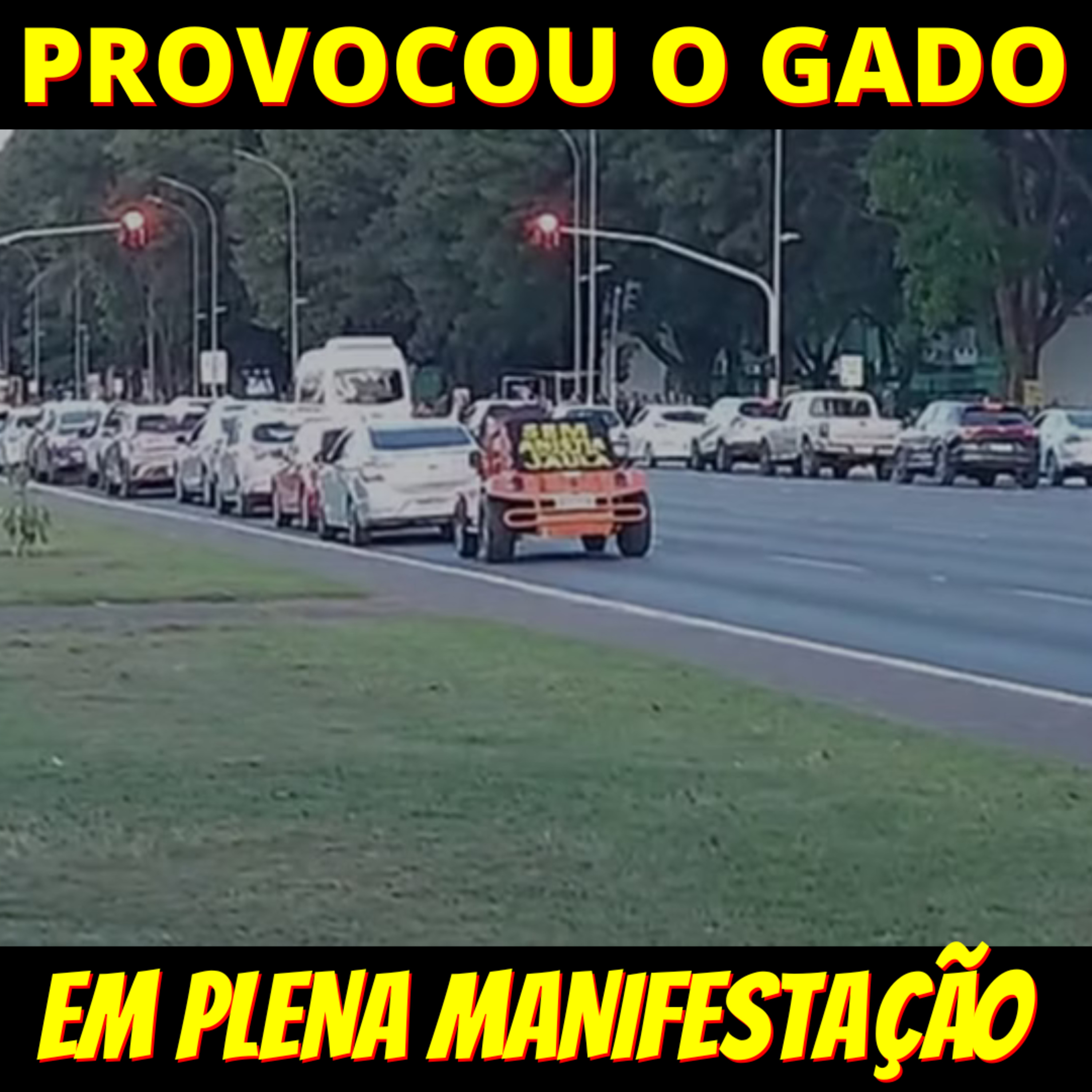 Pensando Alto Roberto Cardoso