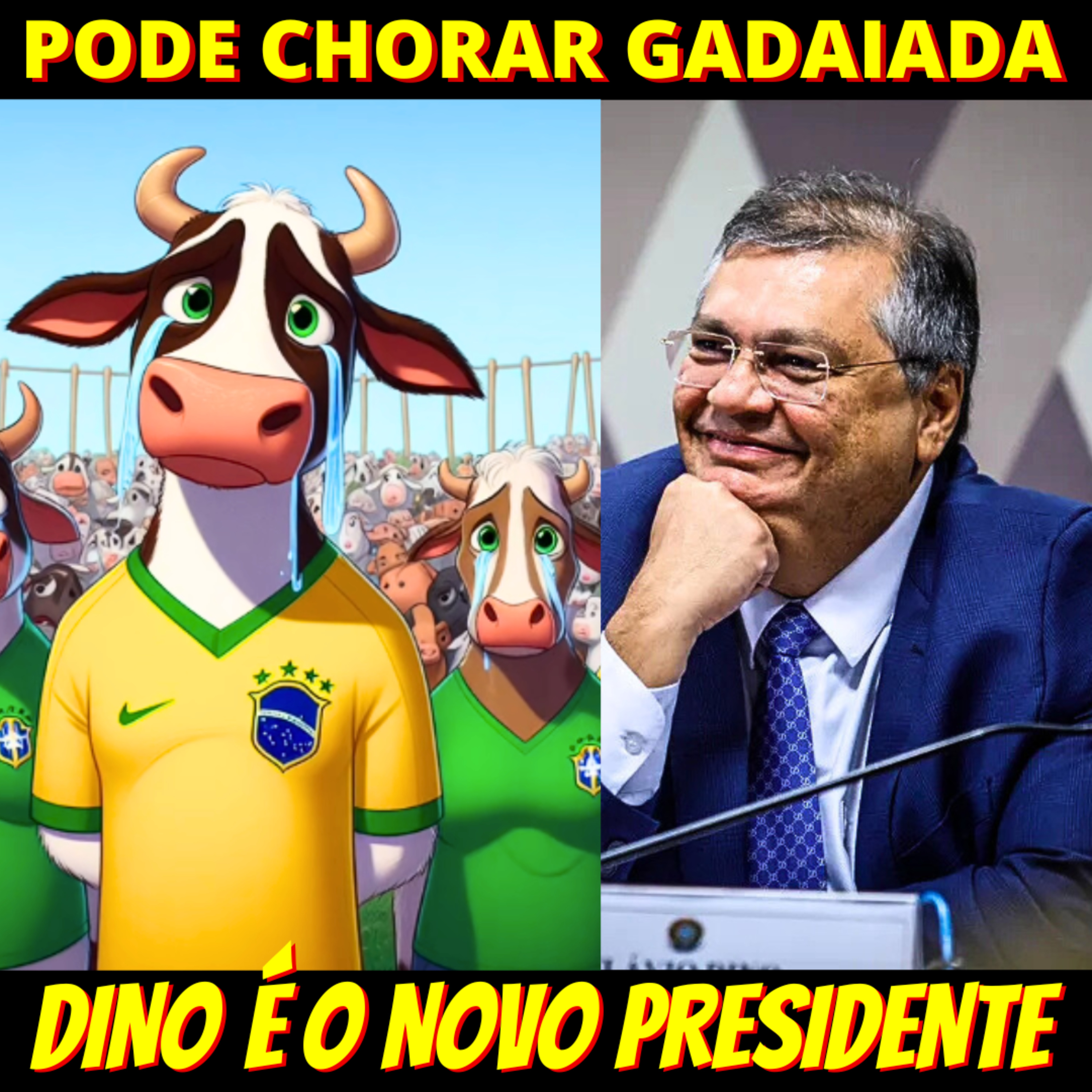 É O CARA - Flávio Dino é eleito Presidente da 1a Turma e vai julgar trama golpista episode artwork