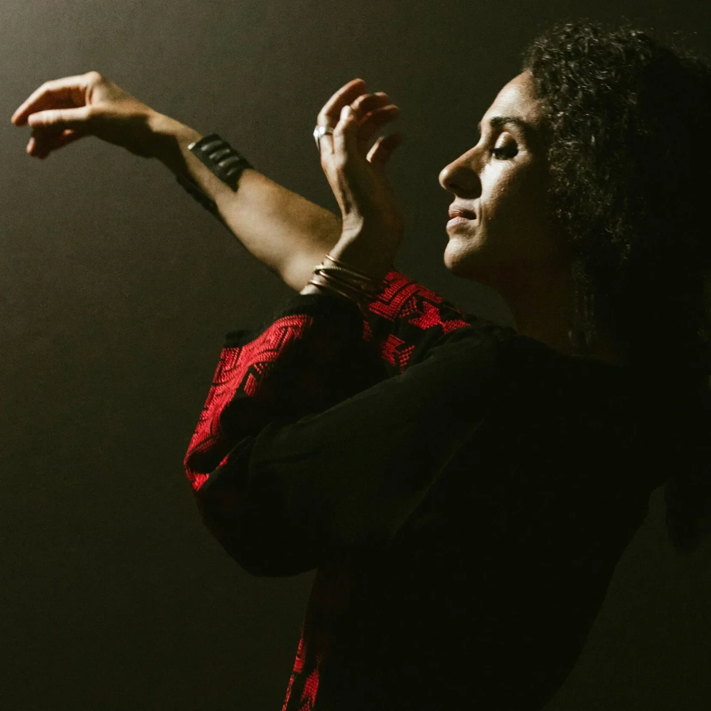 I Found Incredible Liberation: A Conversation with Naima Shalhoub episode artwork