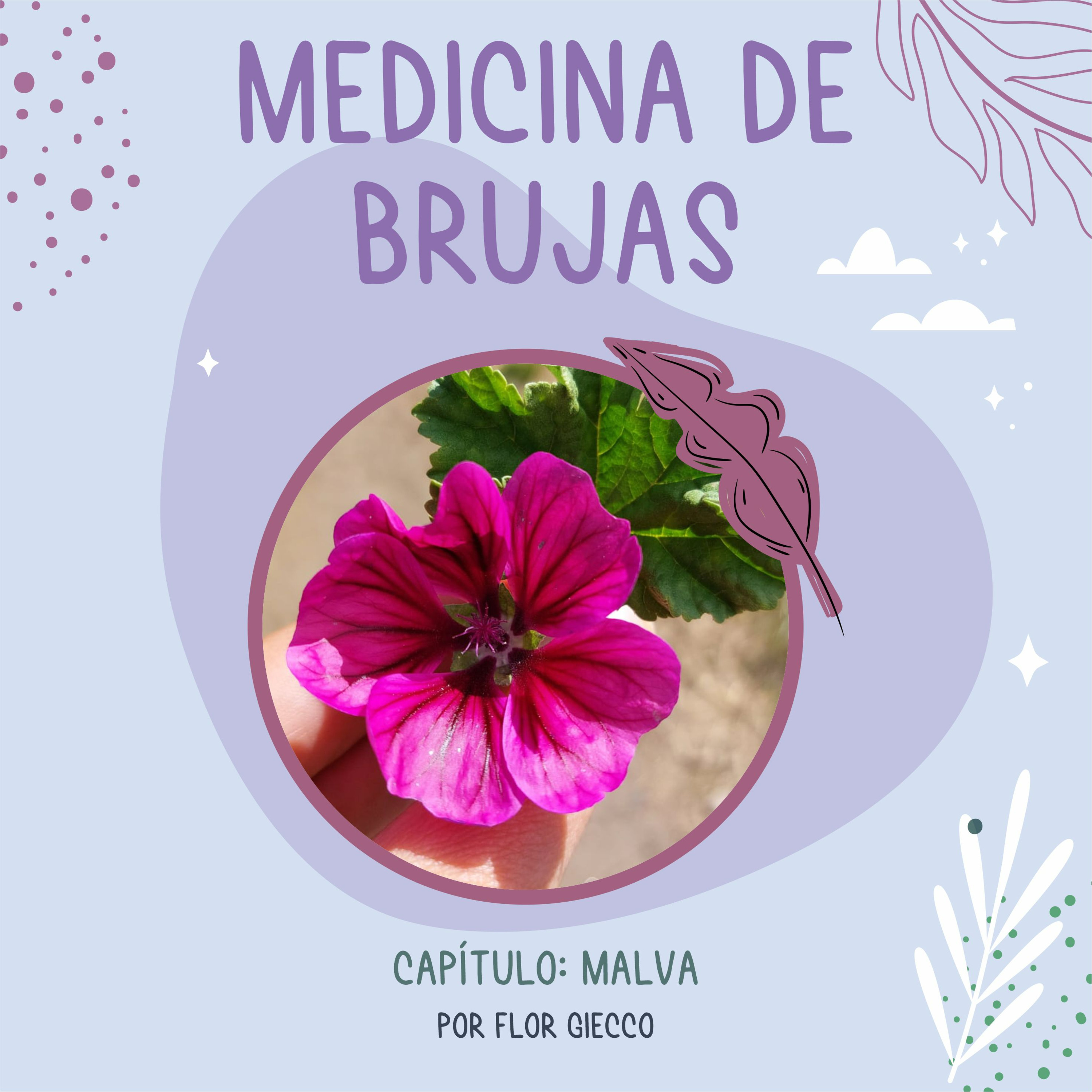 Portada de Medicina de Brujas