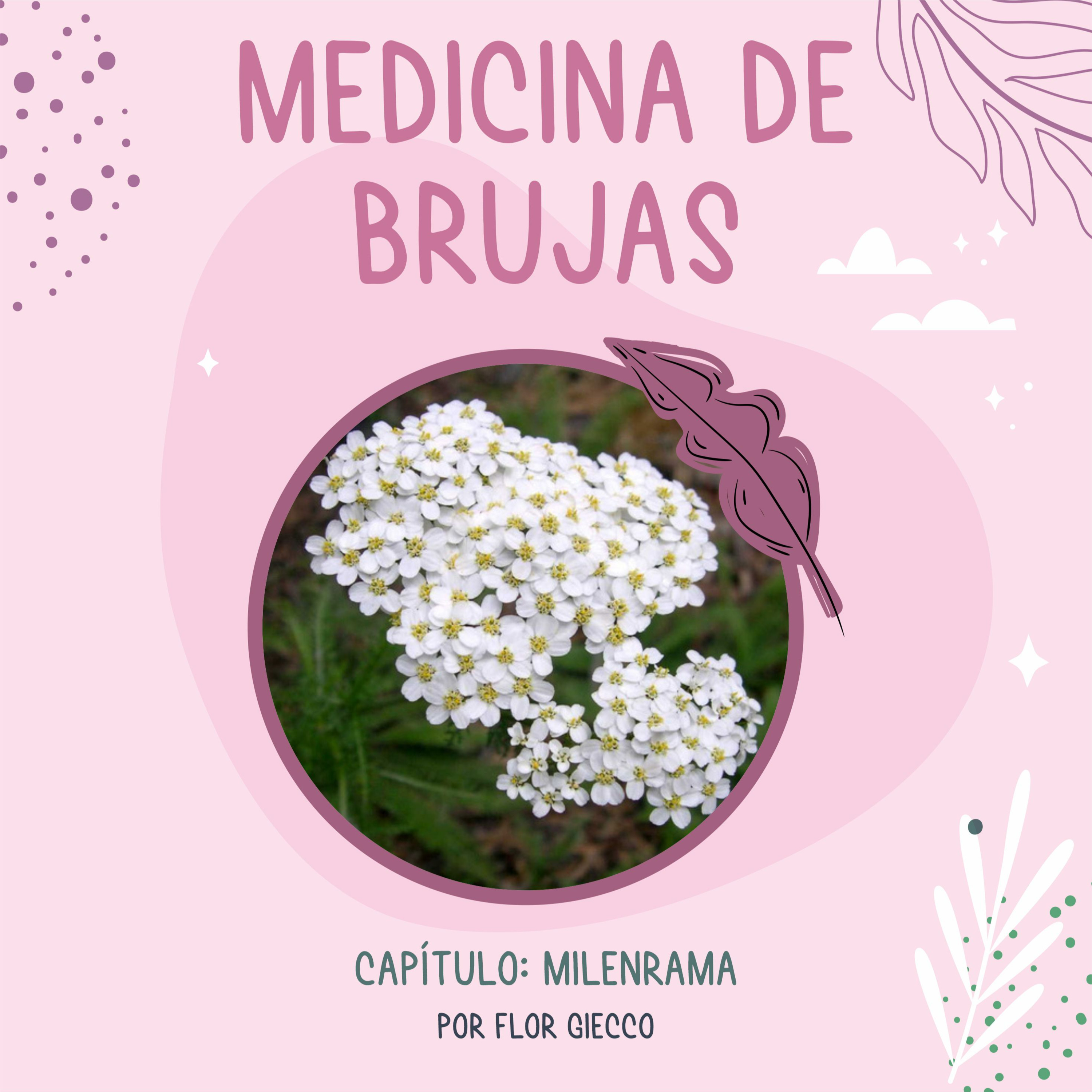 Portada de Medicina de Brujas