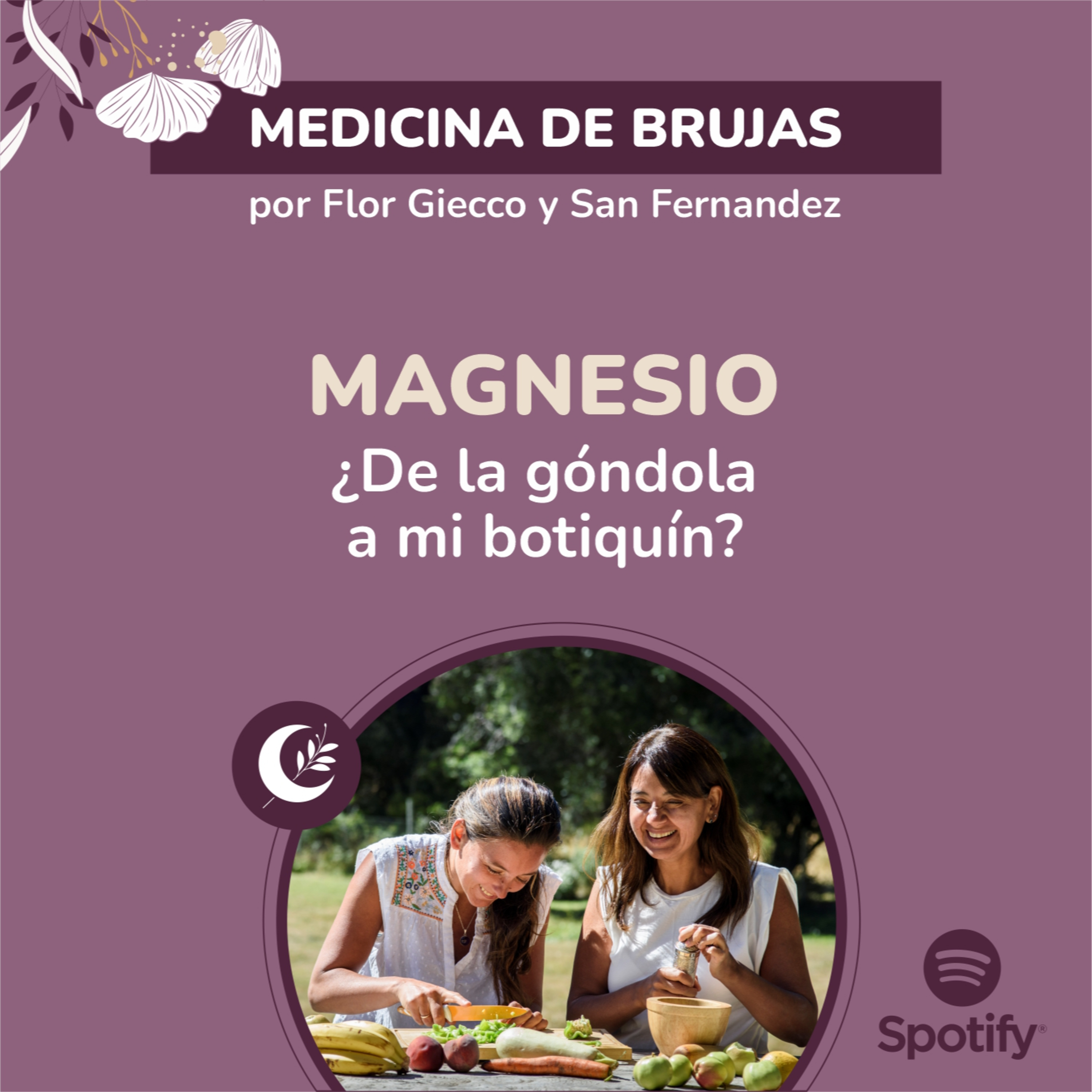 Portada de Medicina de Brujas