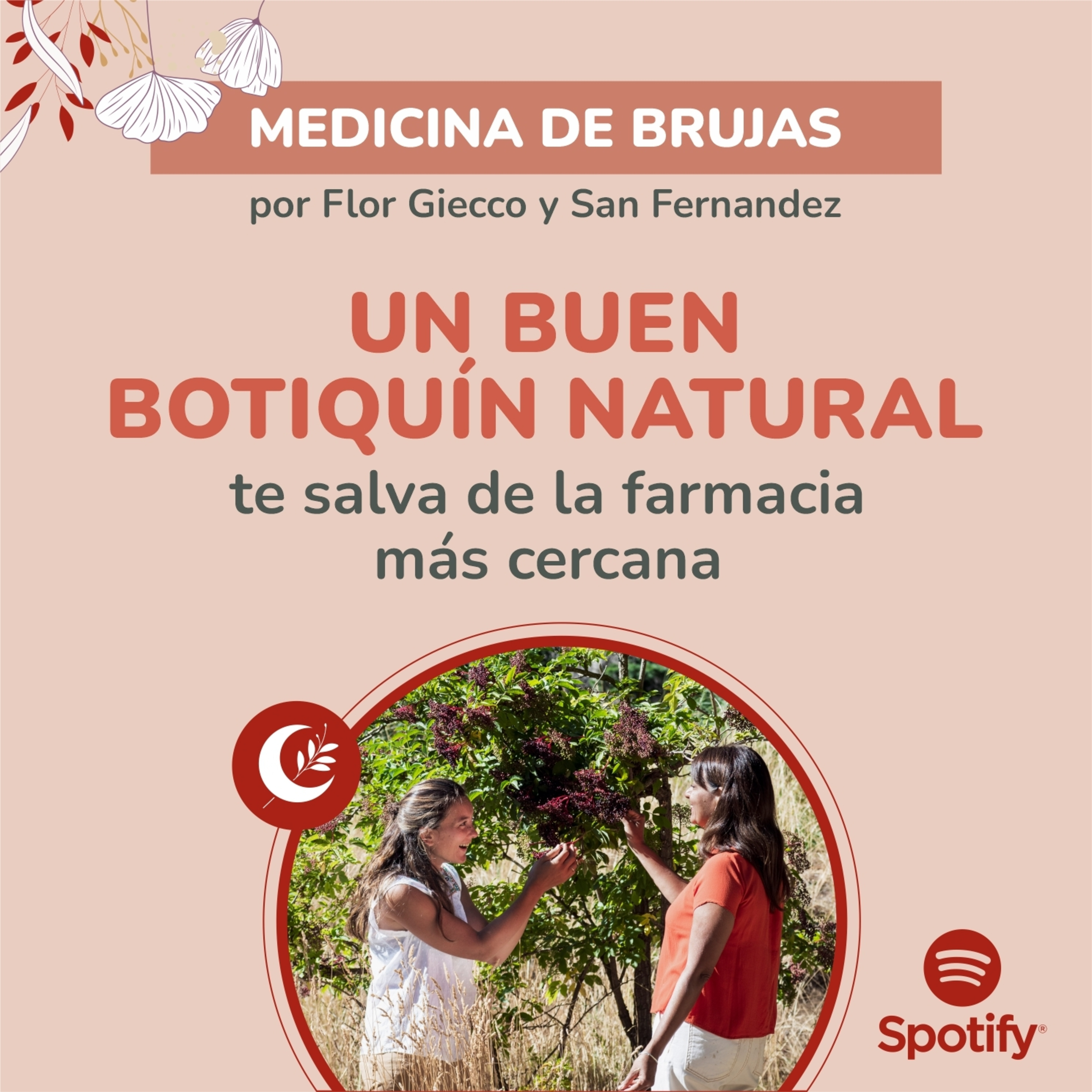 Portada de Medicina de Brujas