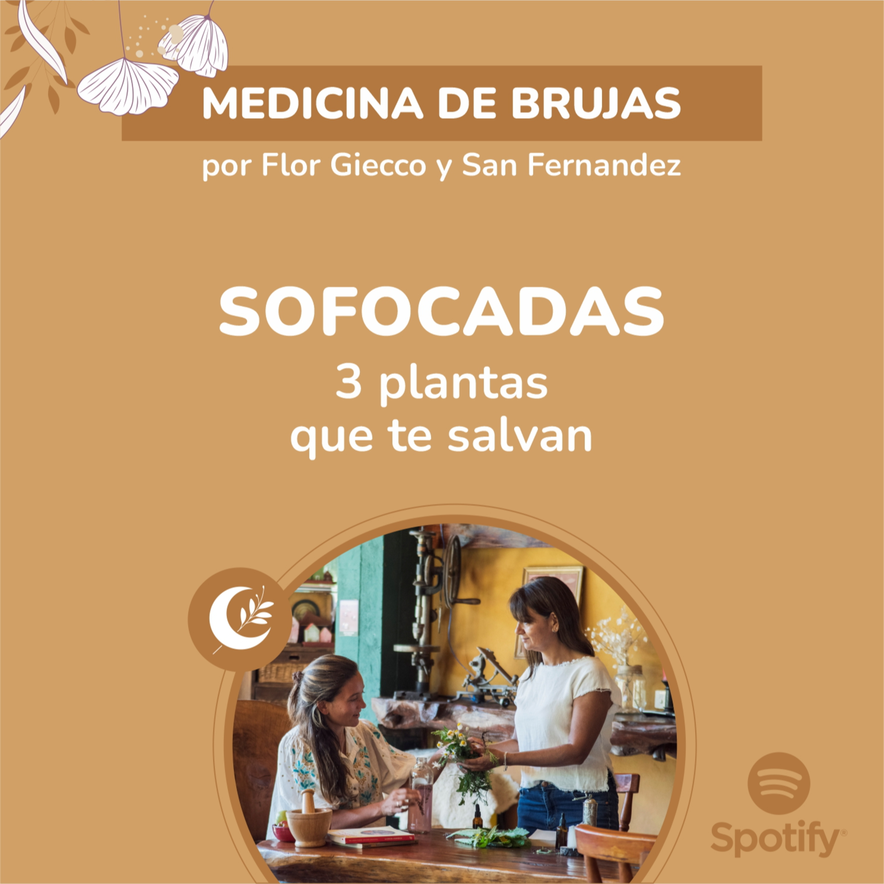 Portada de Medicina de Brujas