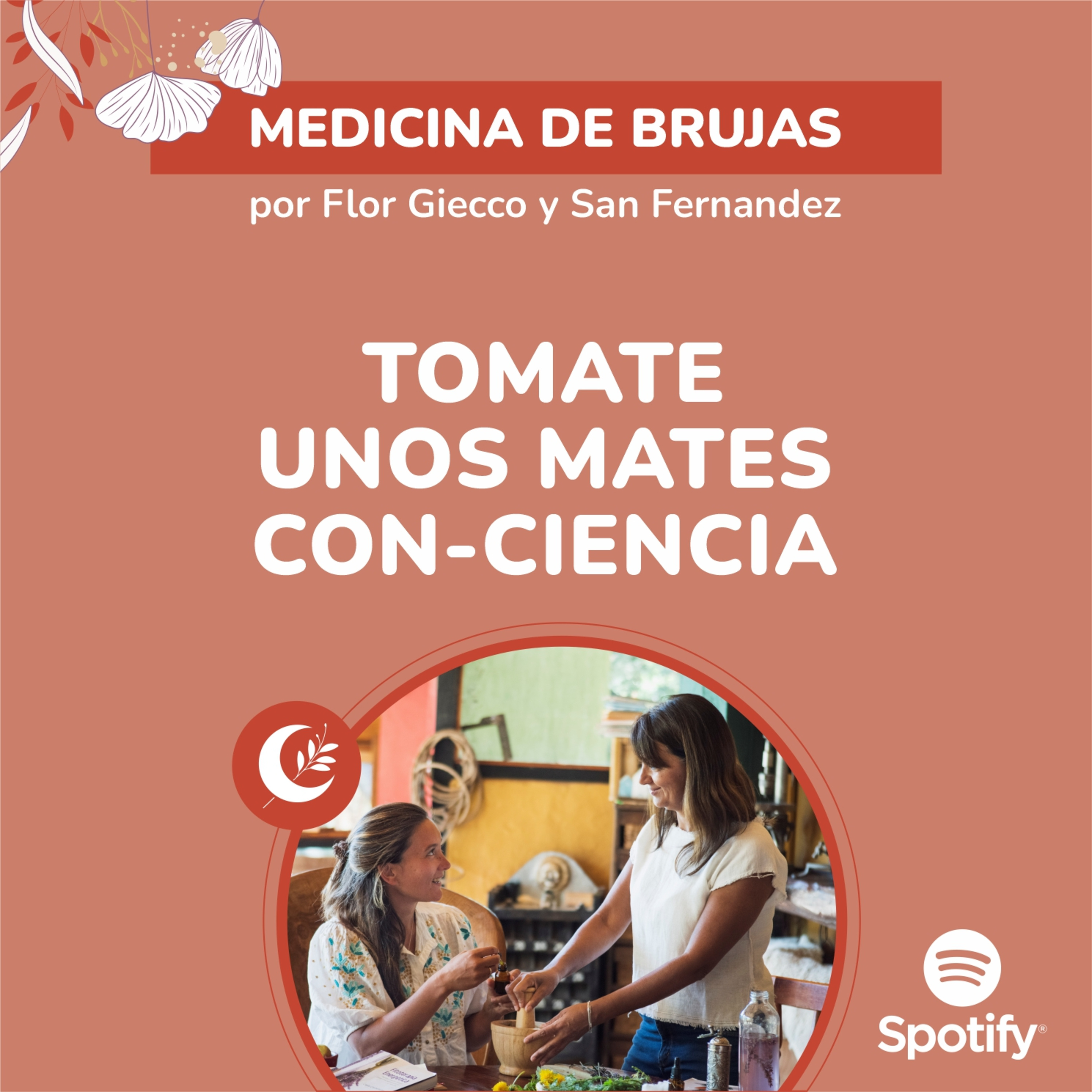 Portada de Medicina de Brujas