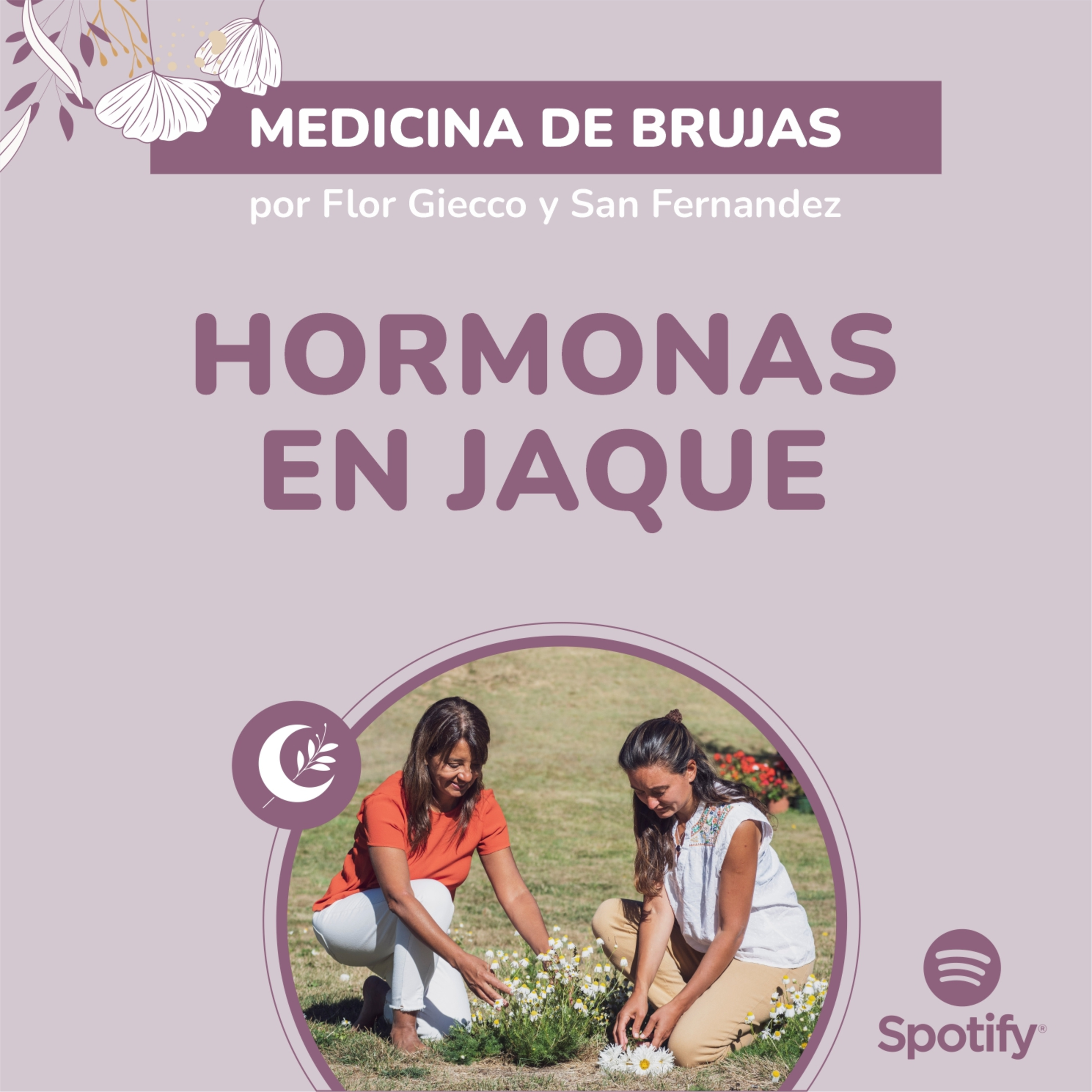 Portada de Medicina de Brujas