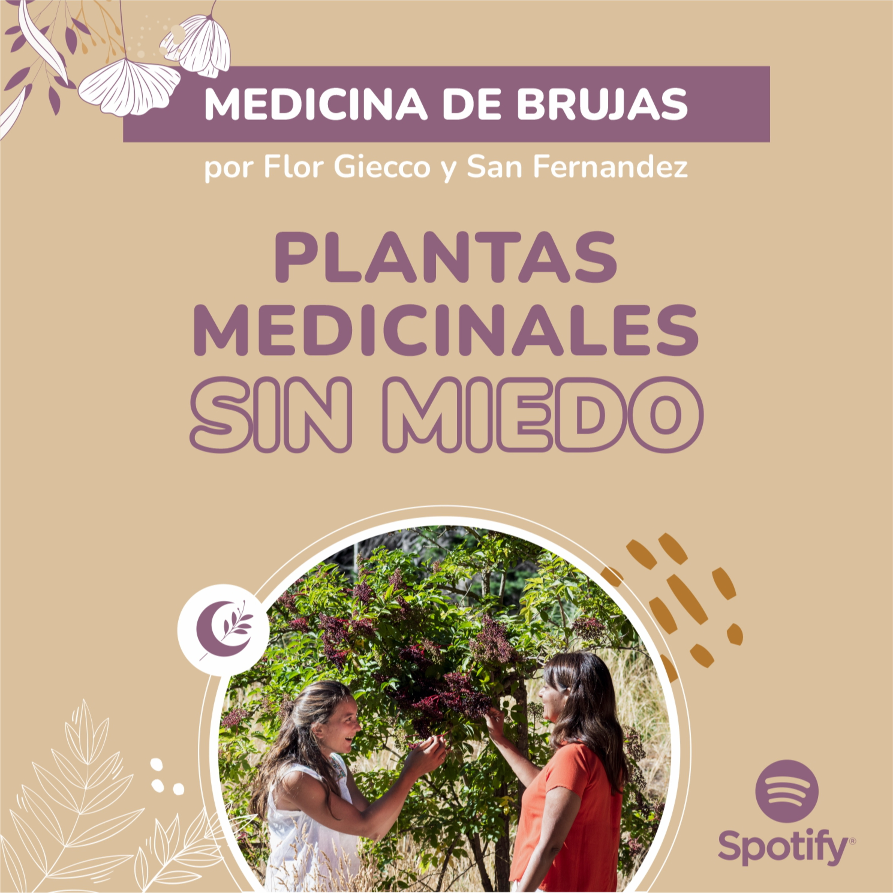 Portada de Medicina de Brujas