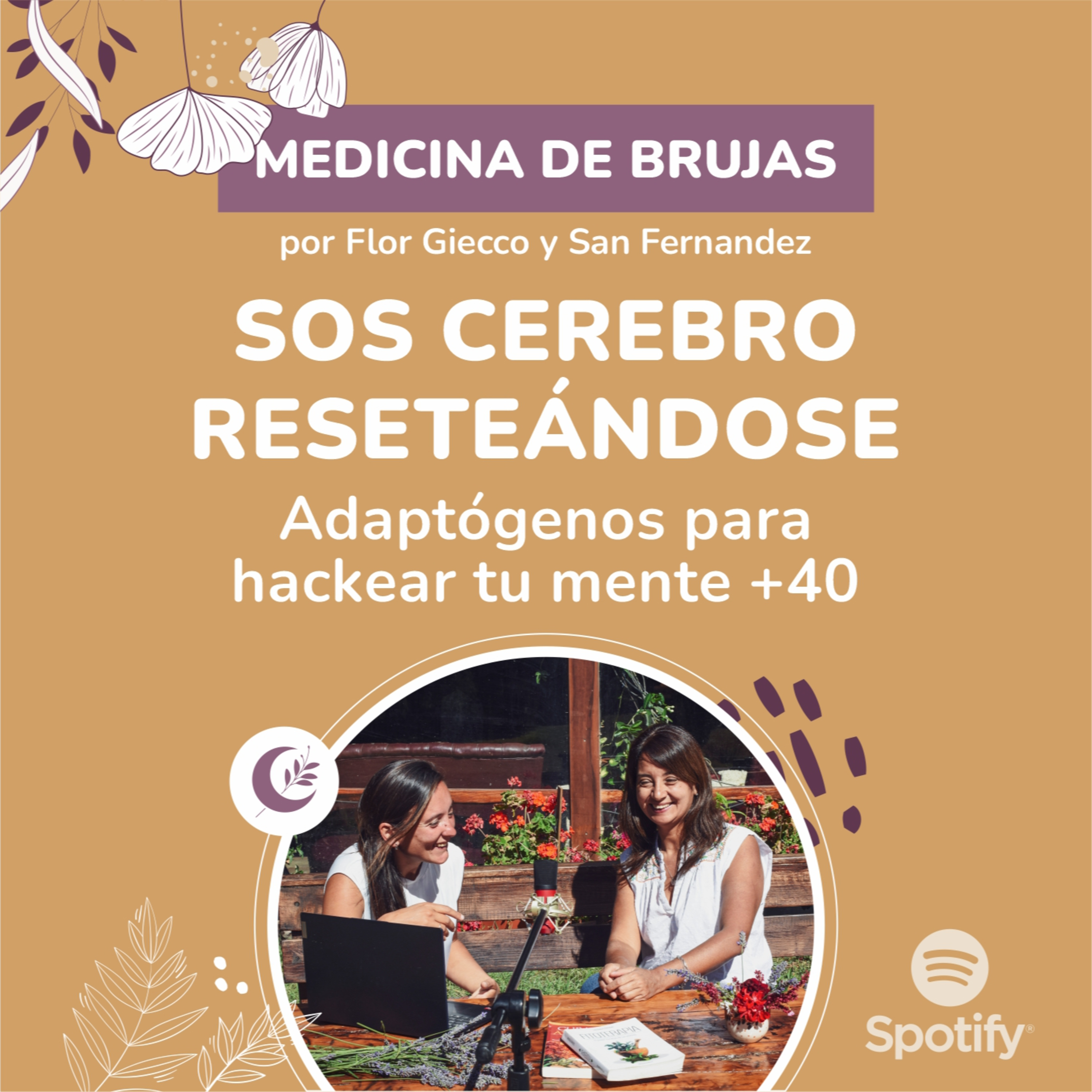 Portada de Medicina de Brujas